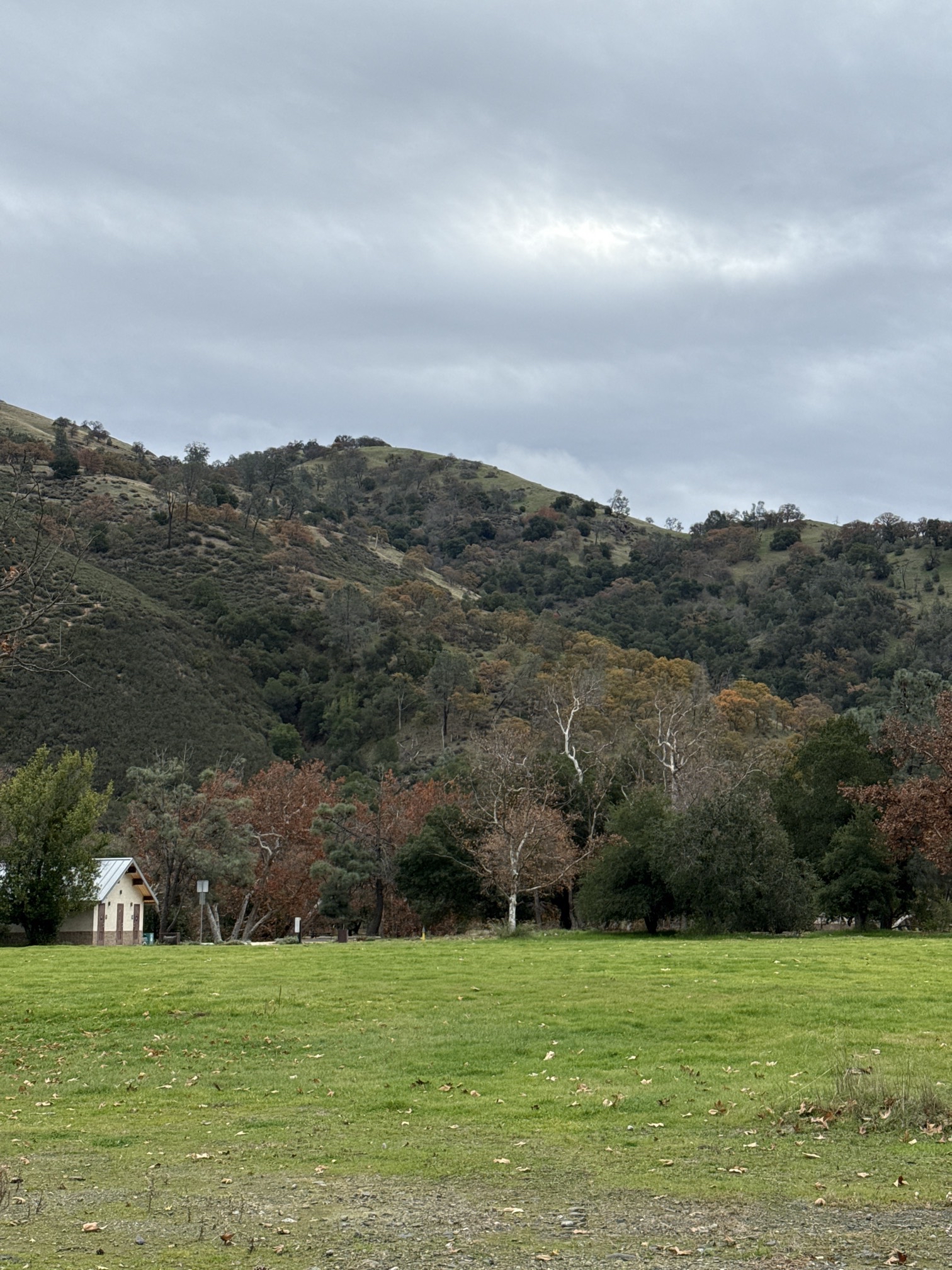 Del Valle Regional Park