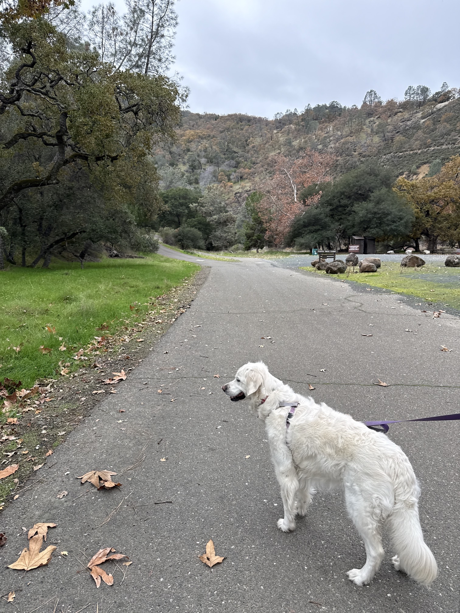 Del Valle Regional Park