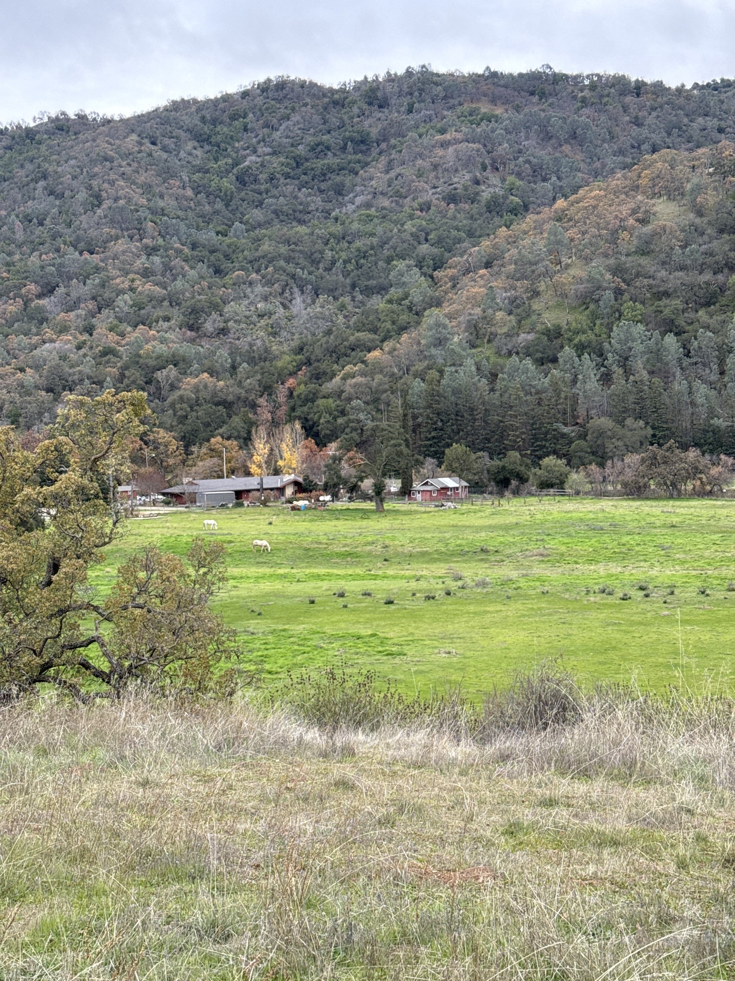 Del Valle Regional Park