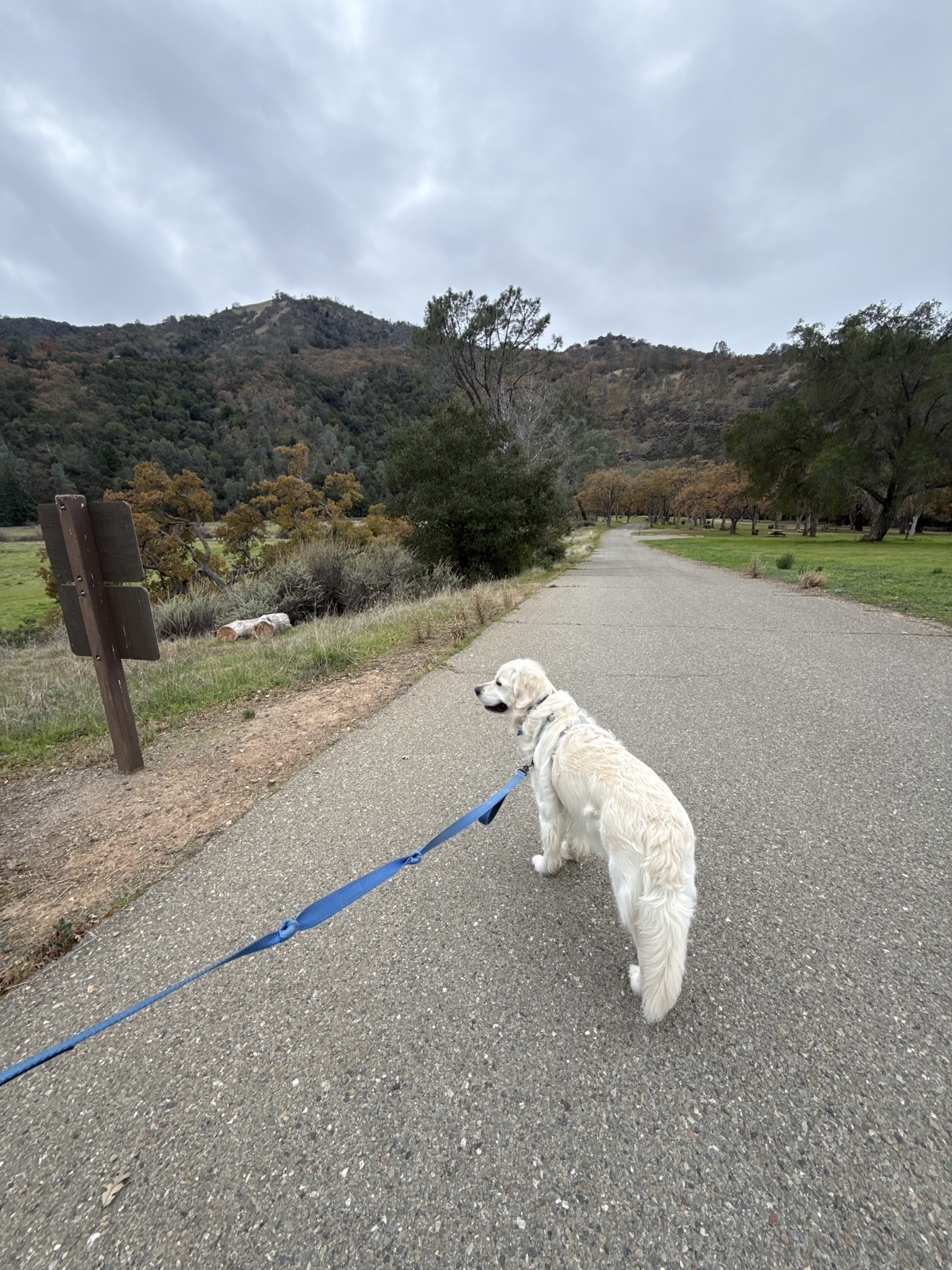Del Valle Regional Park