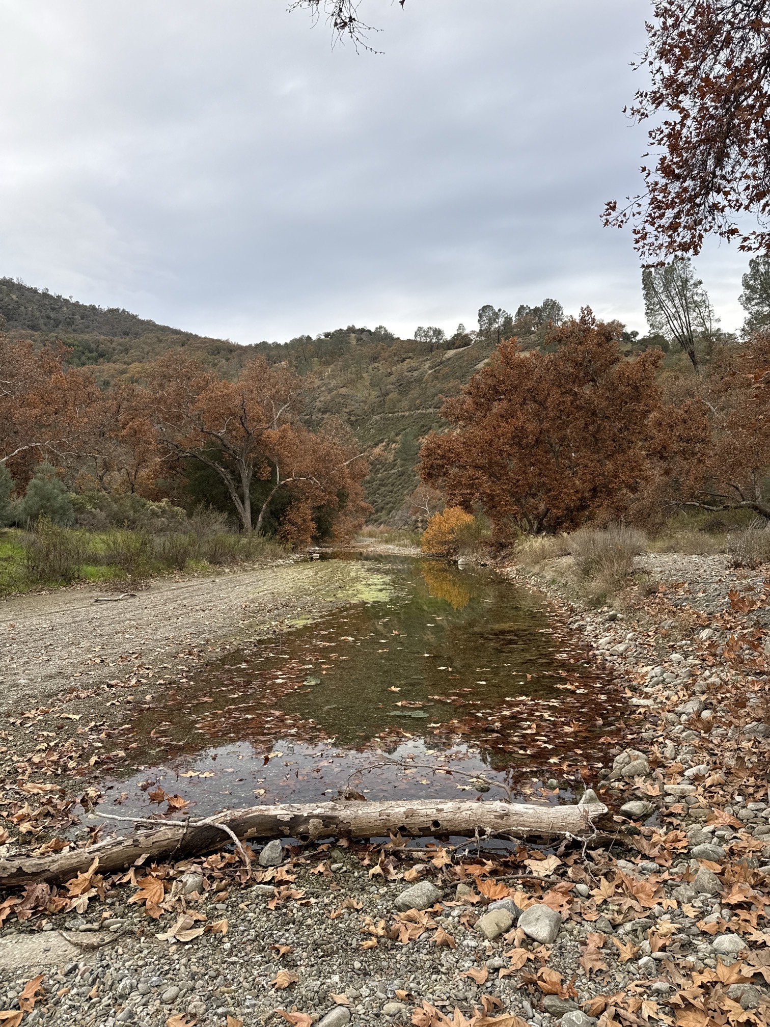 Del Valle Regional Park