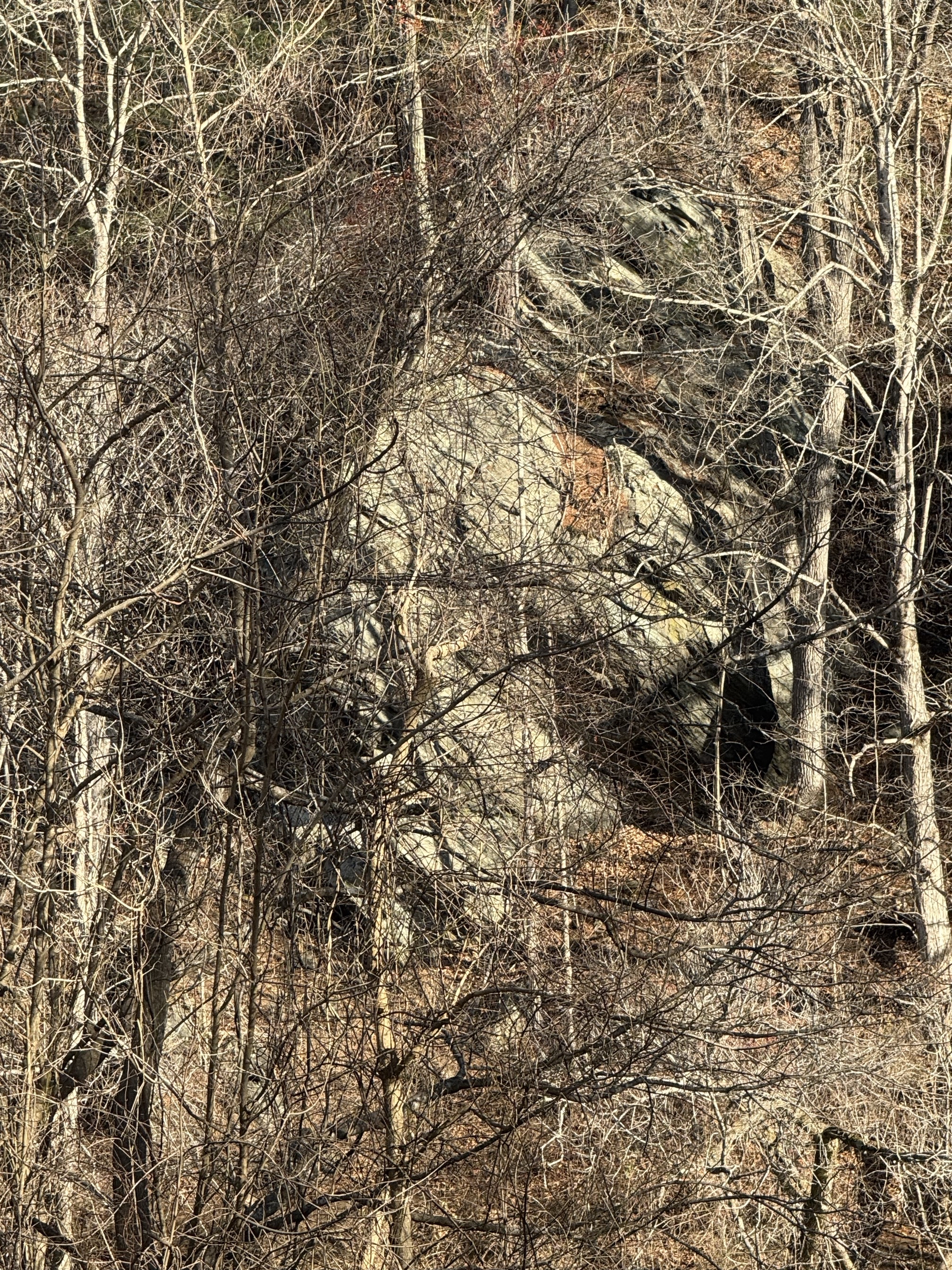 Hike along the River Walk Trail in Roanoke's Explore Park