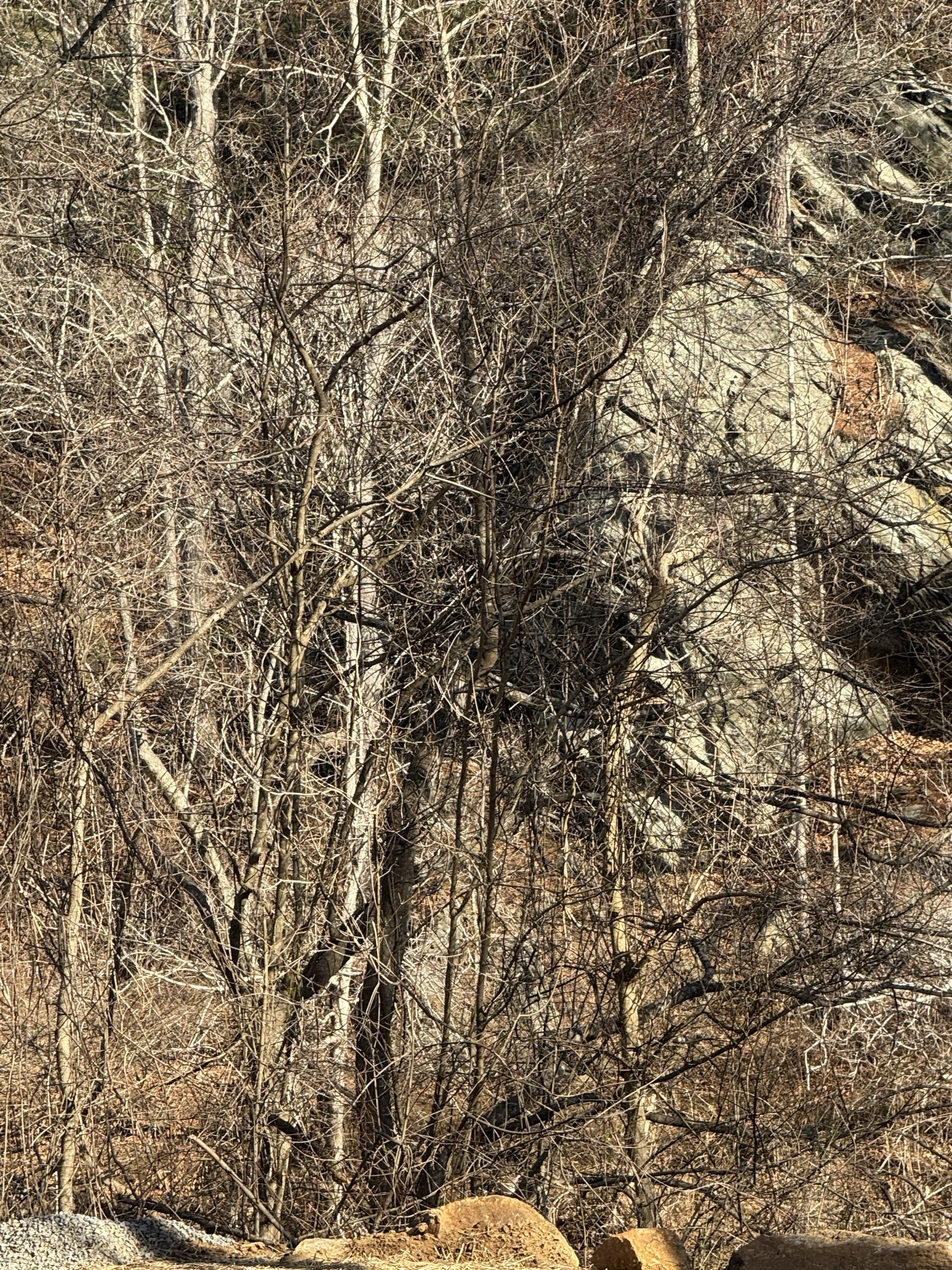 Hike along the River Walk Trail in Roanoke's Explore Park