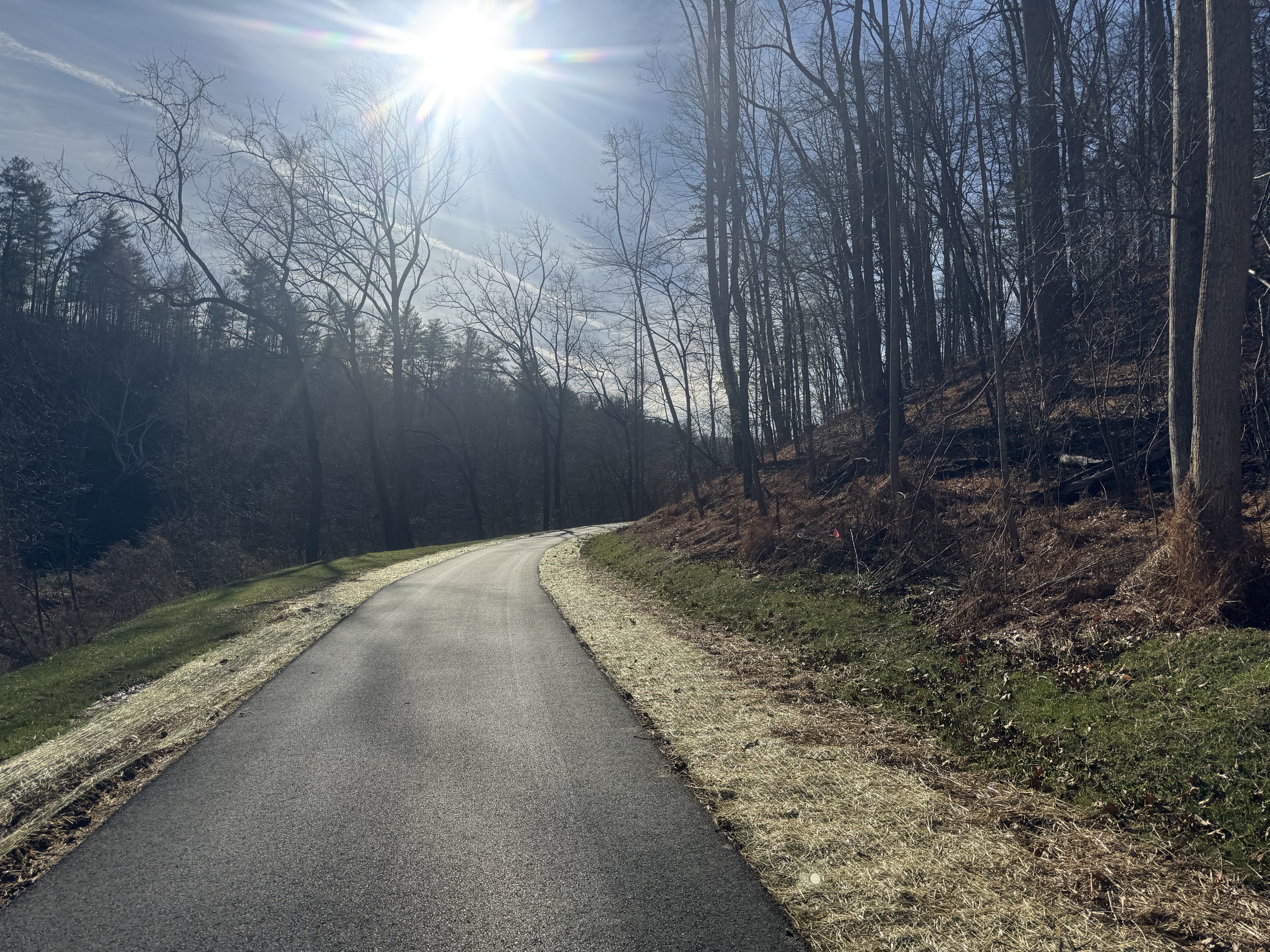 Hike along the River Walk Trail in Roanoke's Explore Park