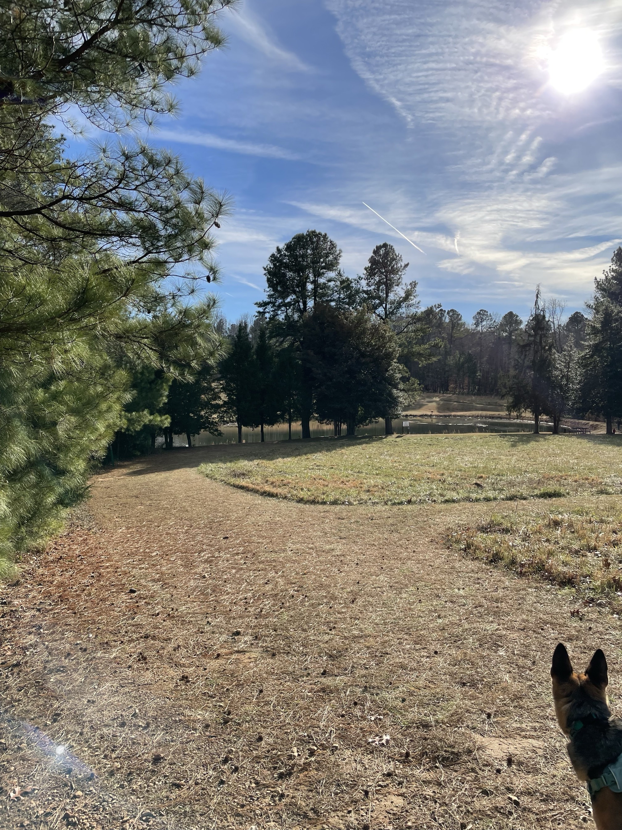 Allen's Loop