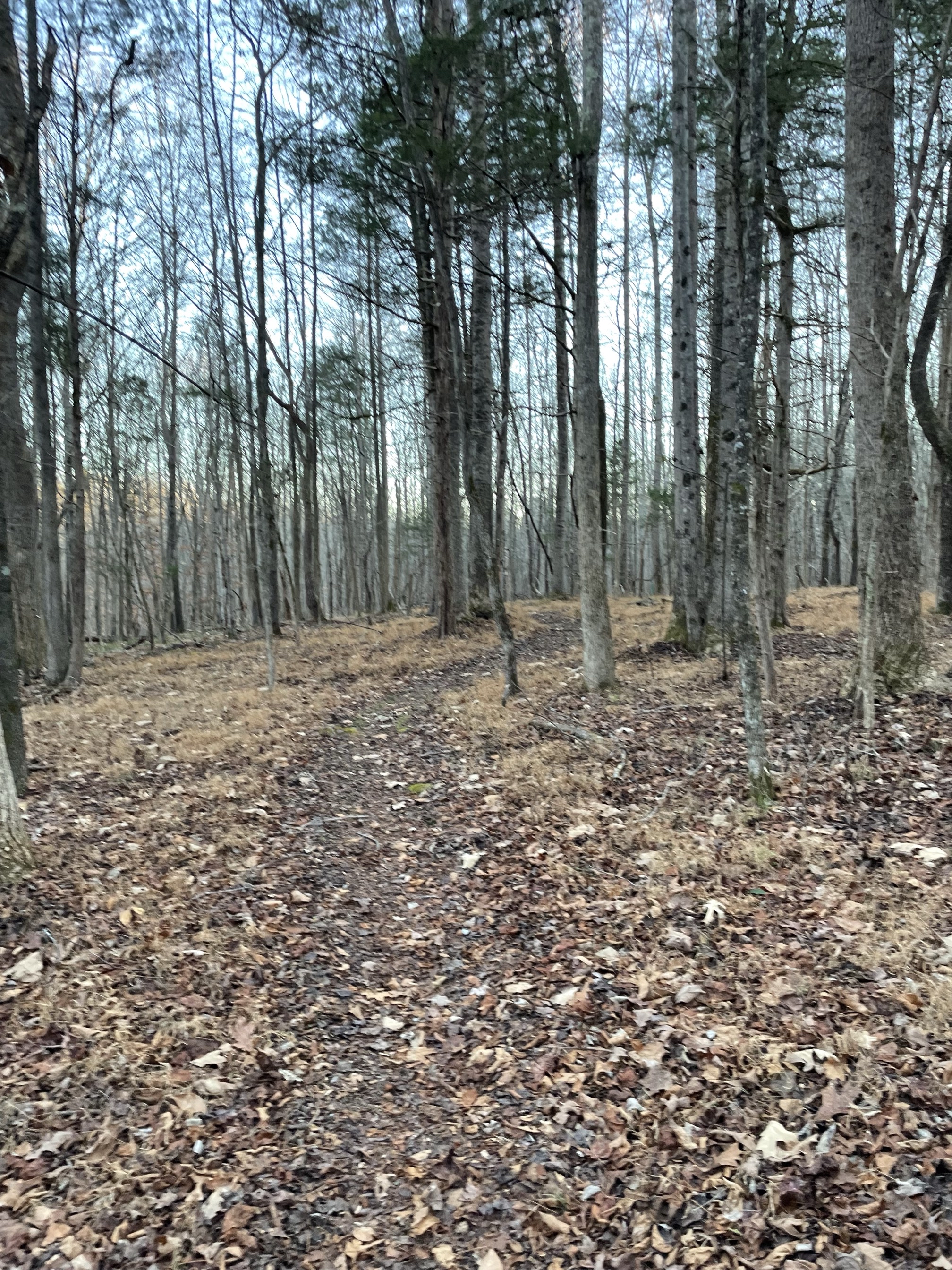 Ridge Trail to North River Trail