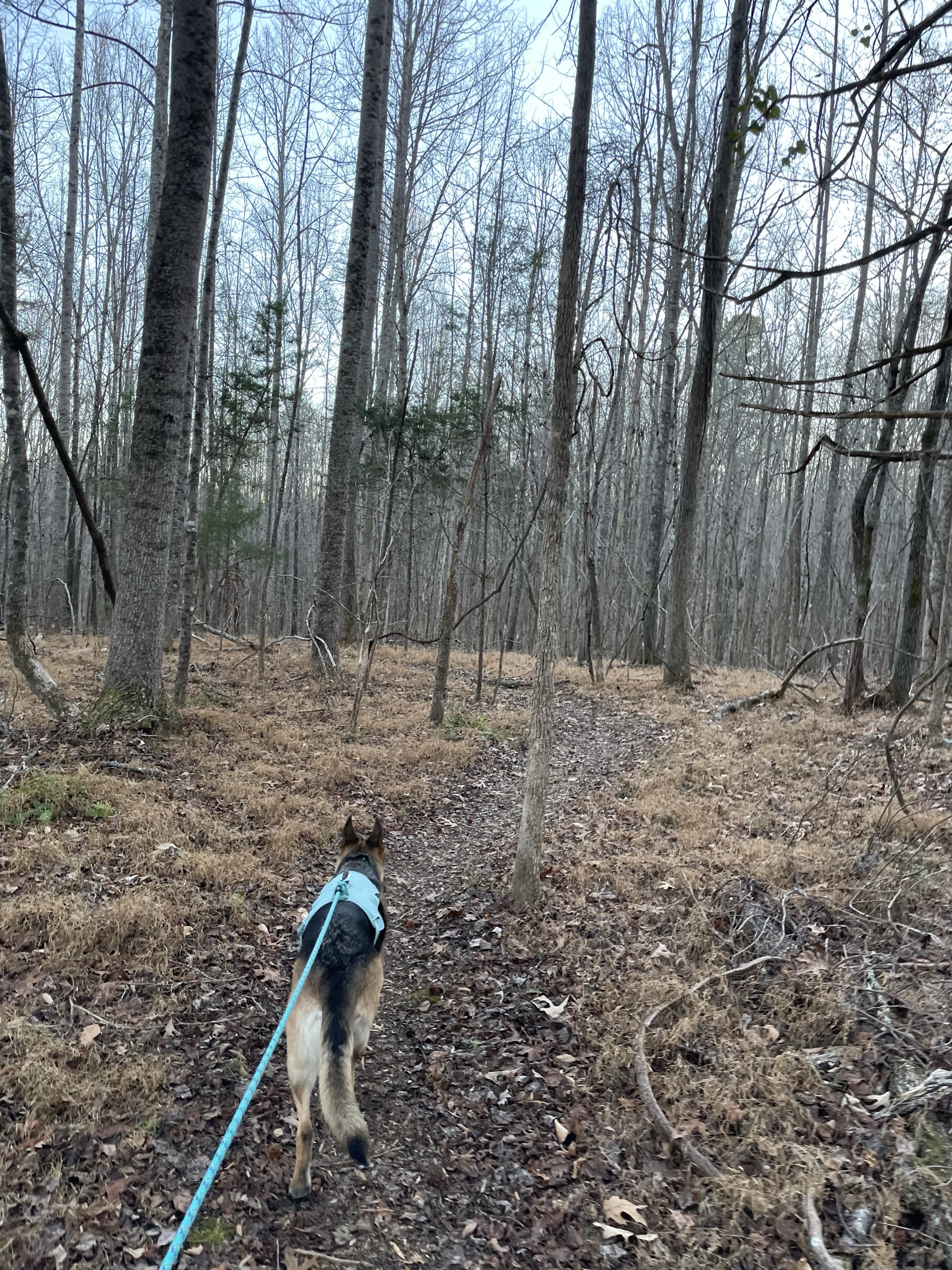 Ridge Trail to North River Trail