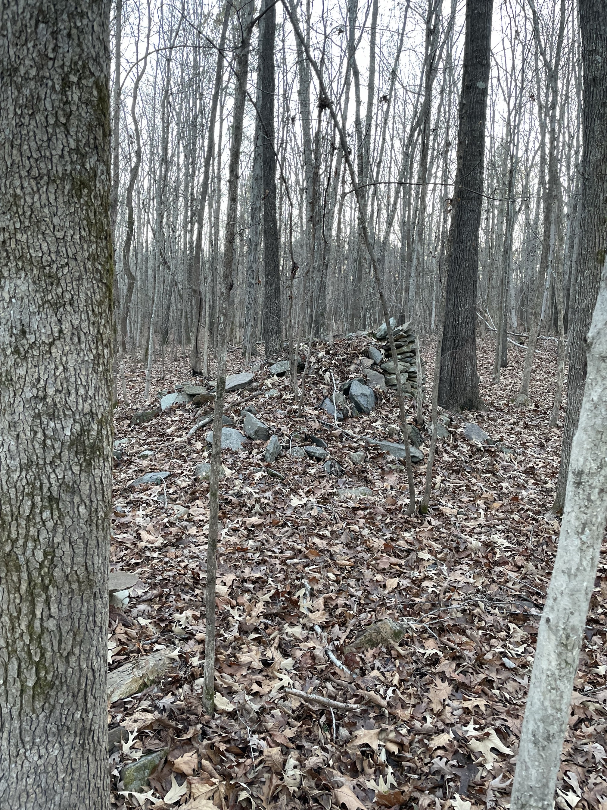 Ridge Trail to North River Trail