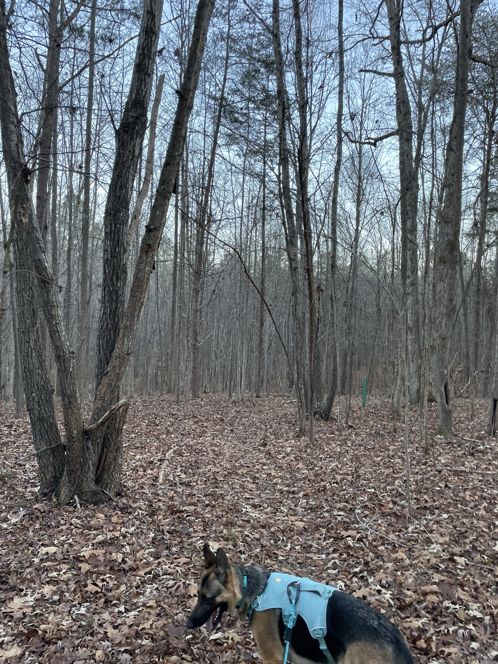 Ridge Trail to North River Trail