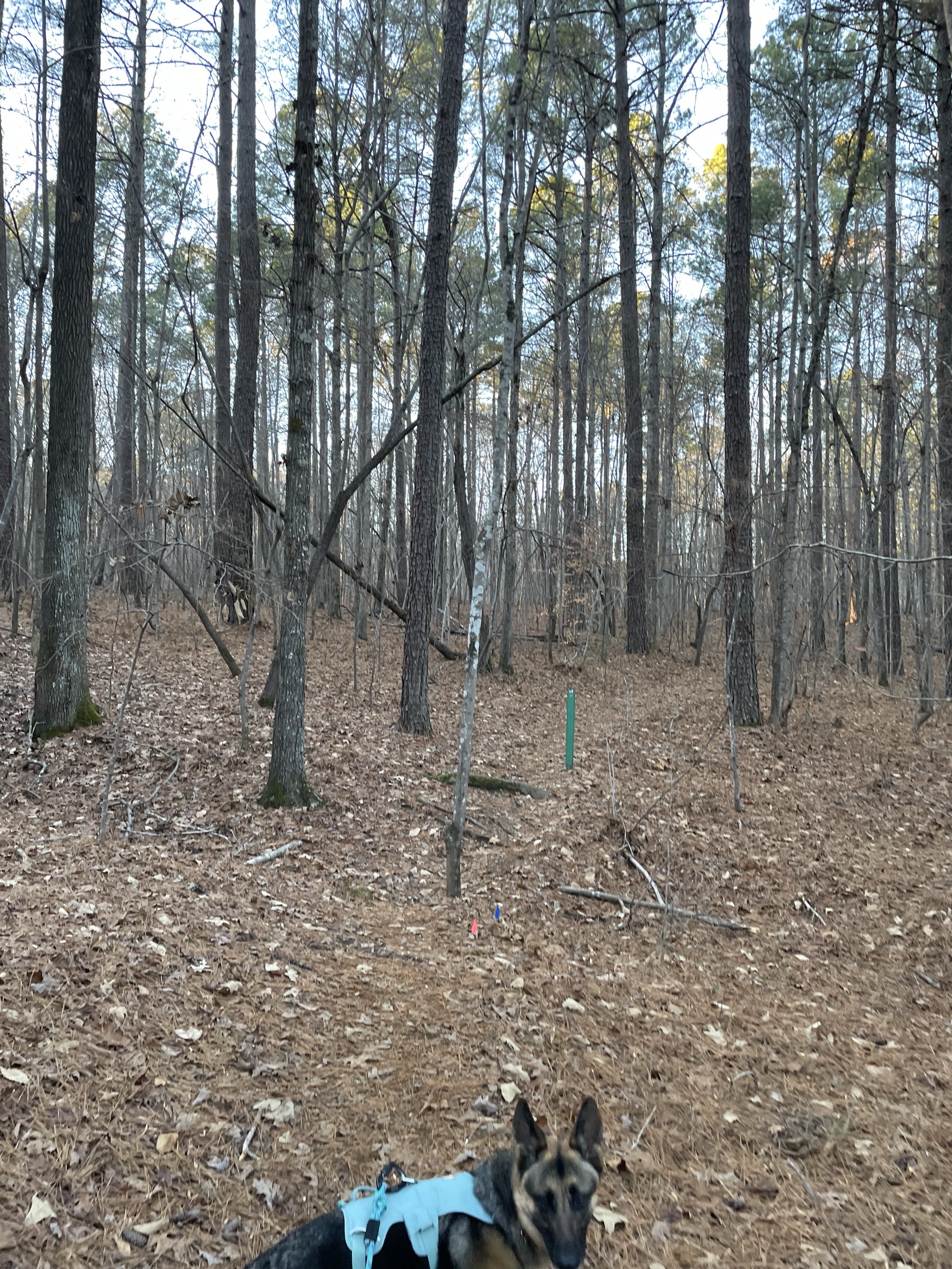 Ridge Trail to North River Trail