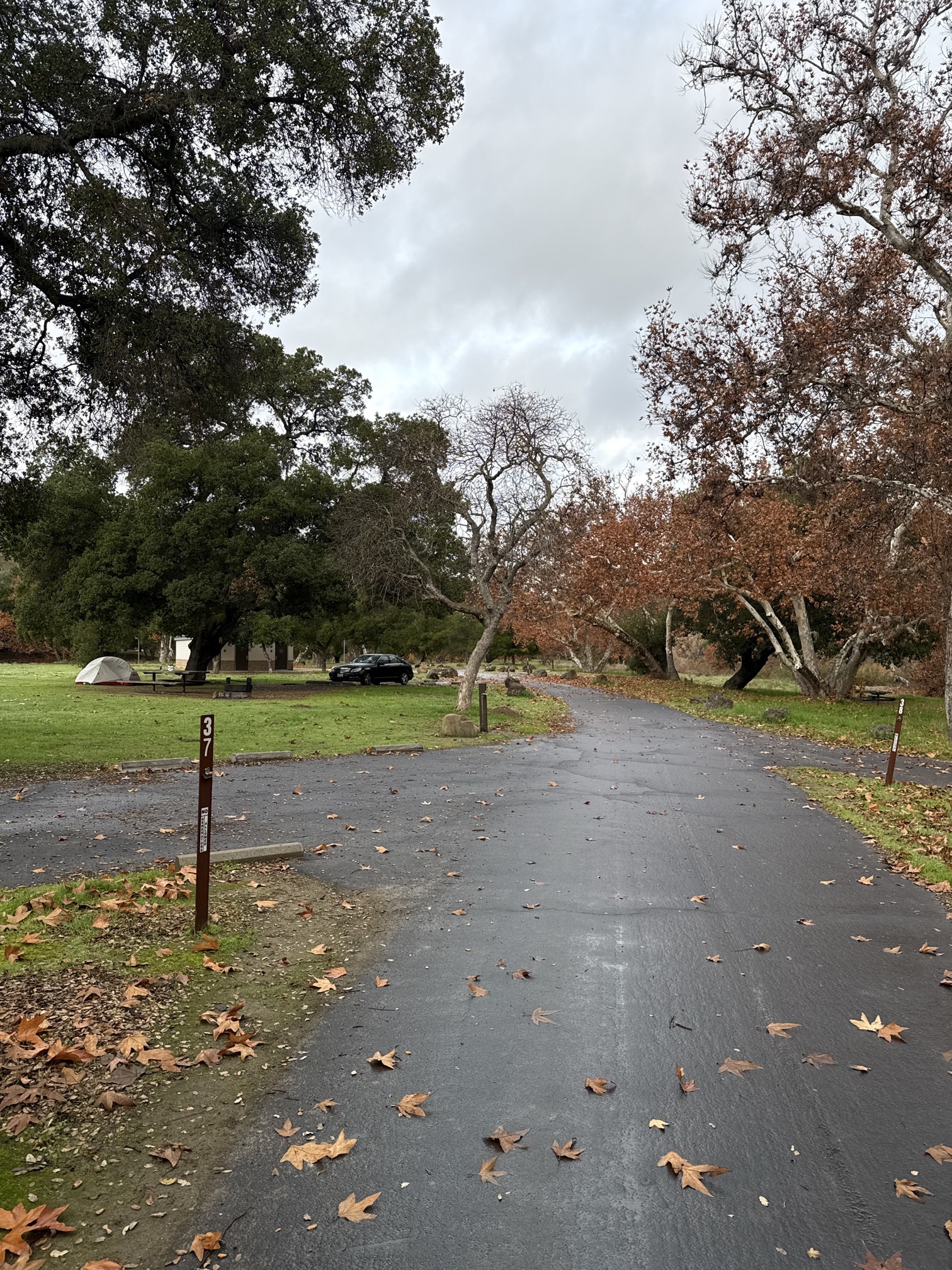 Del Valle Regional Park