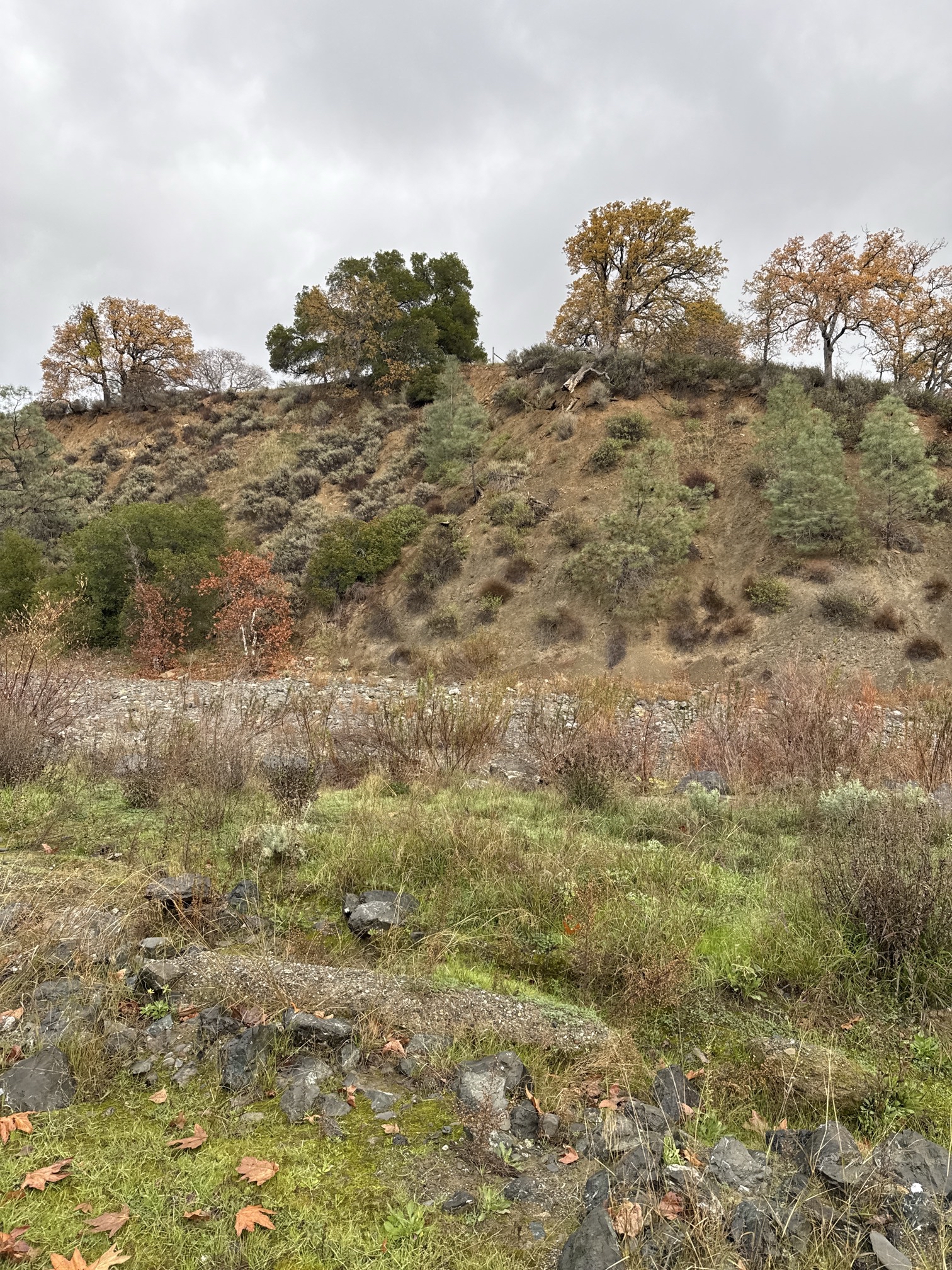 Del Valle Regional Park