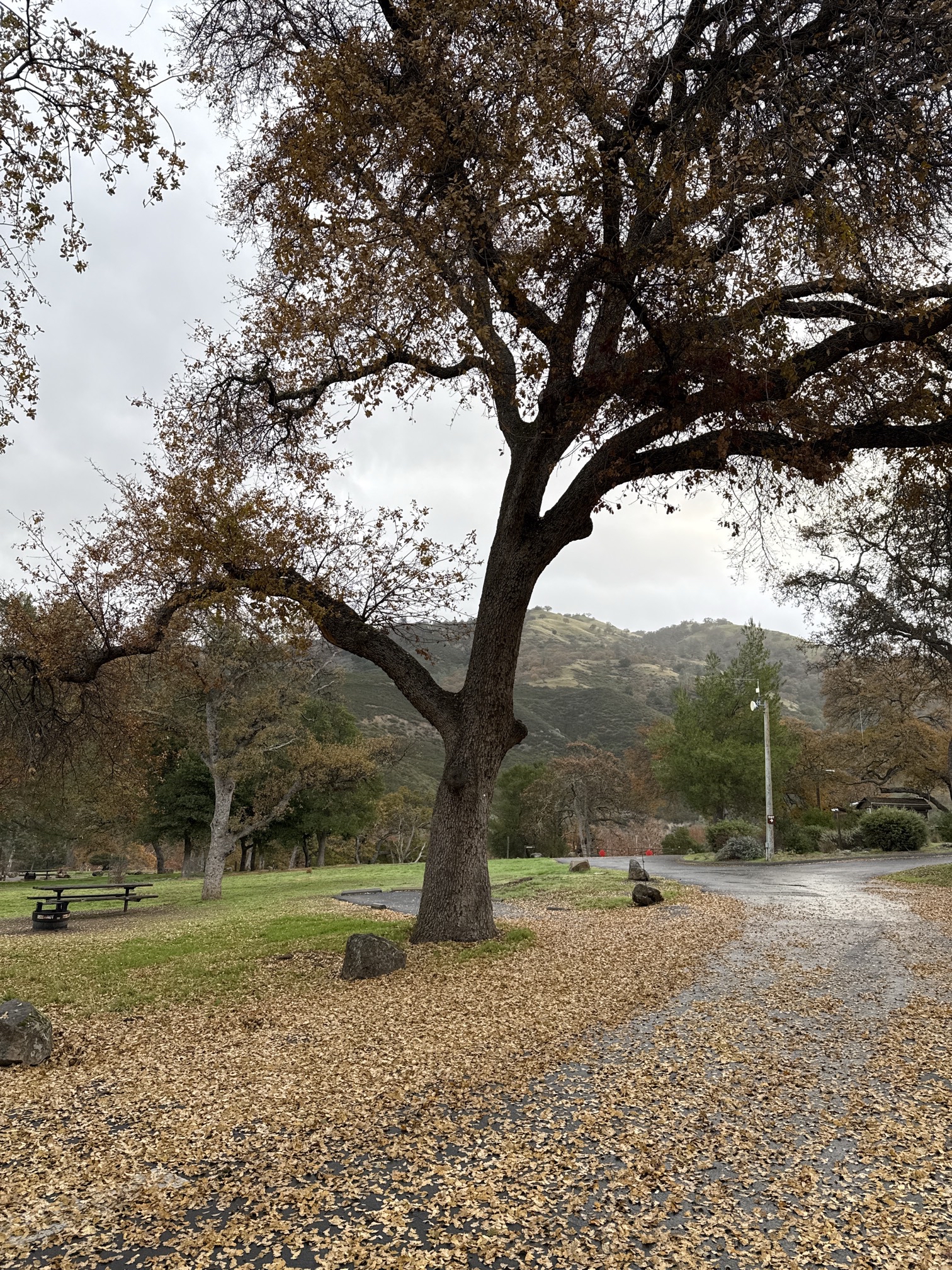 Del Valle Regional Park