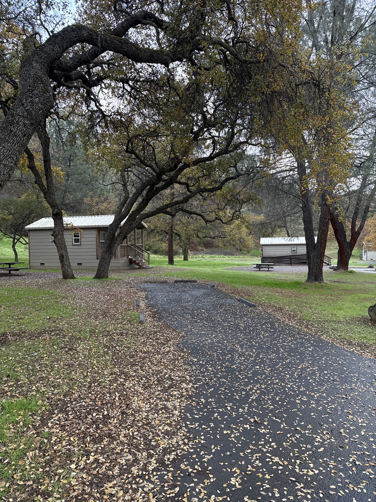 Del Valle Regional Park