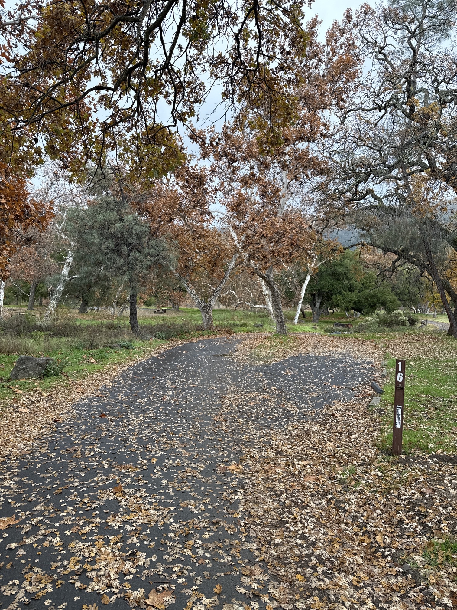 Del Valle Regional Park