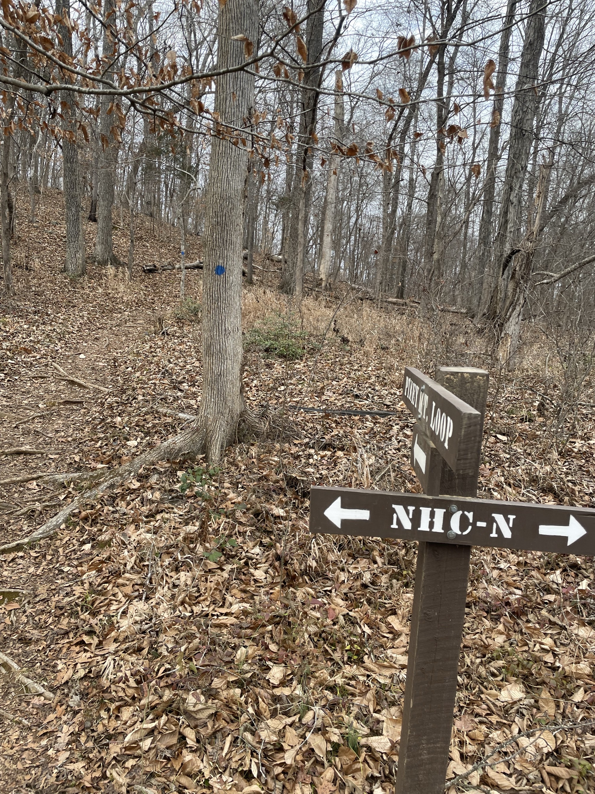 Piney Mountain Trail