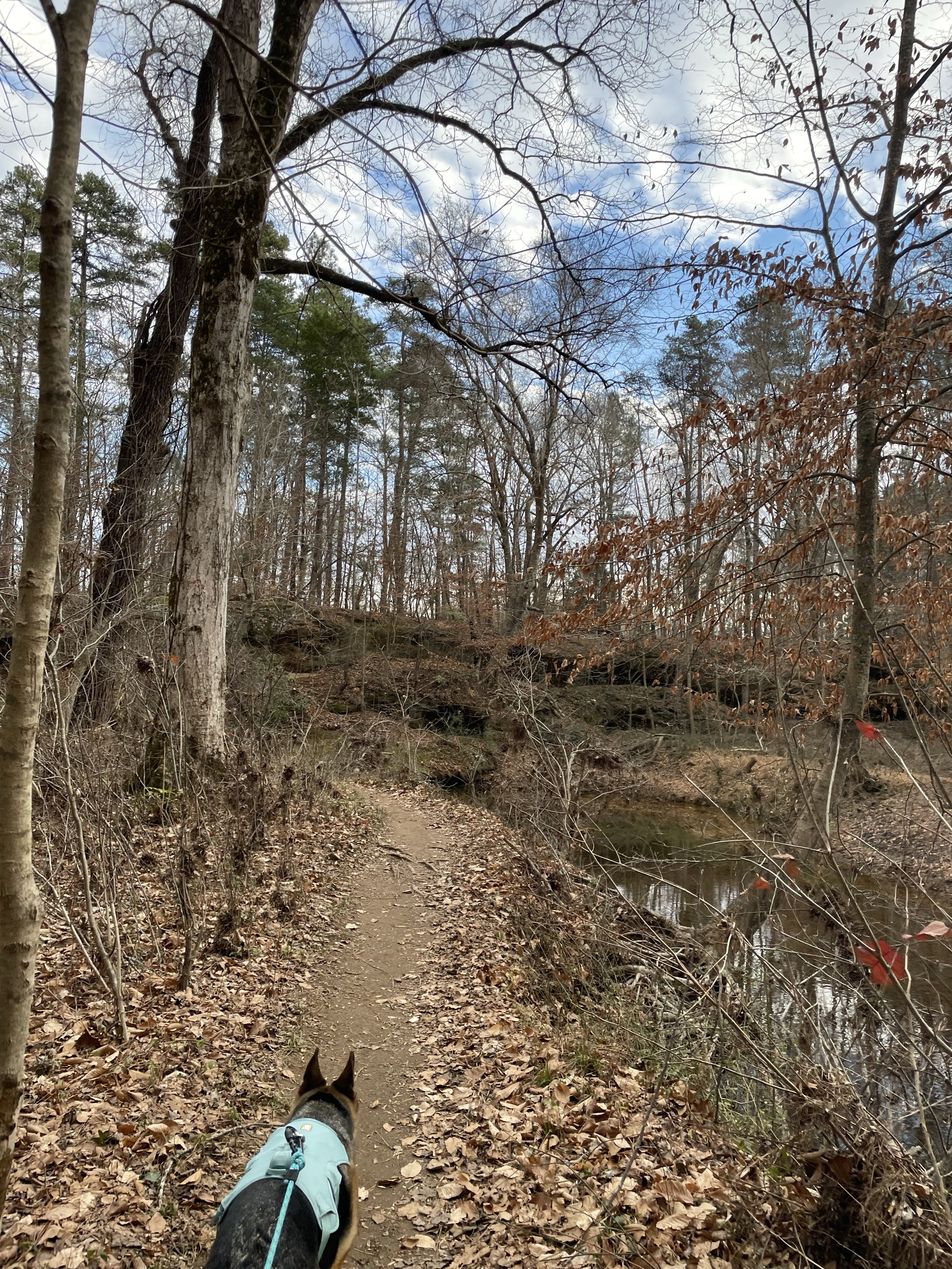 Piney Mountain Trail