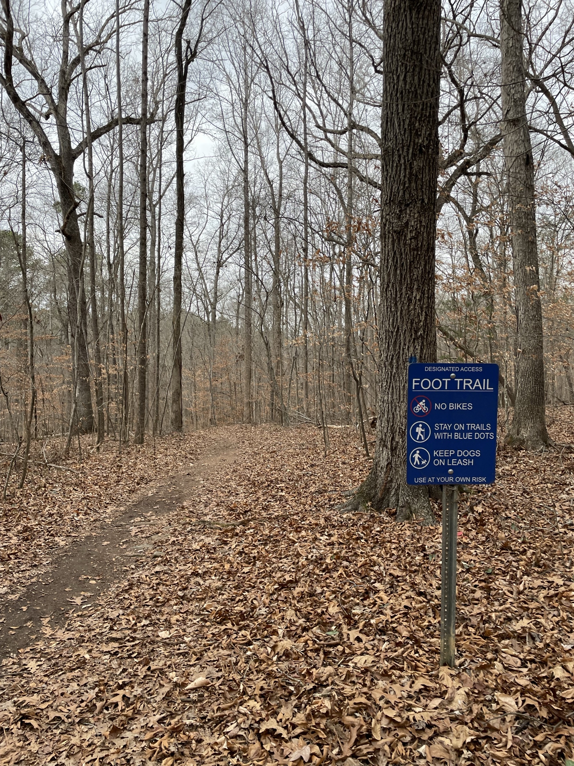 Piney Mountain Trail