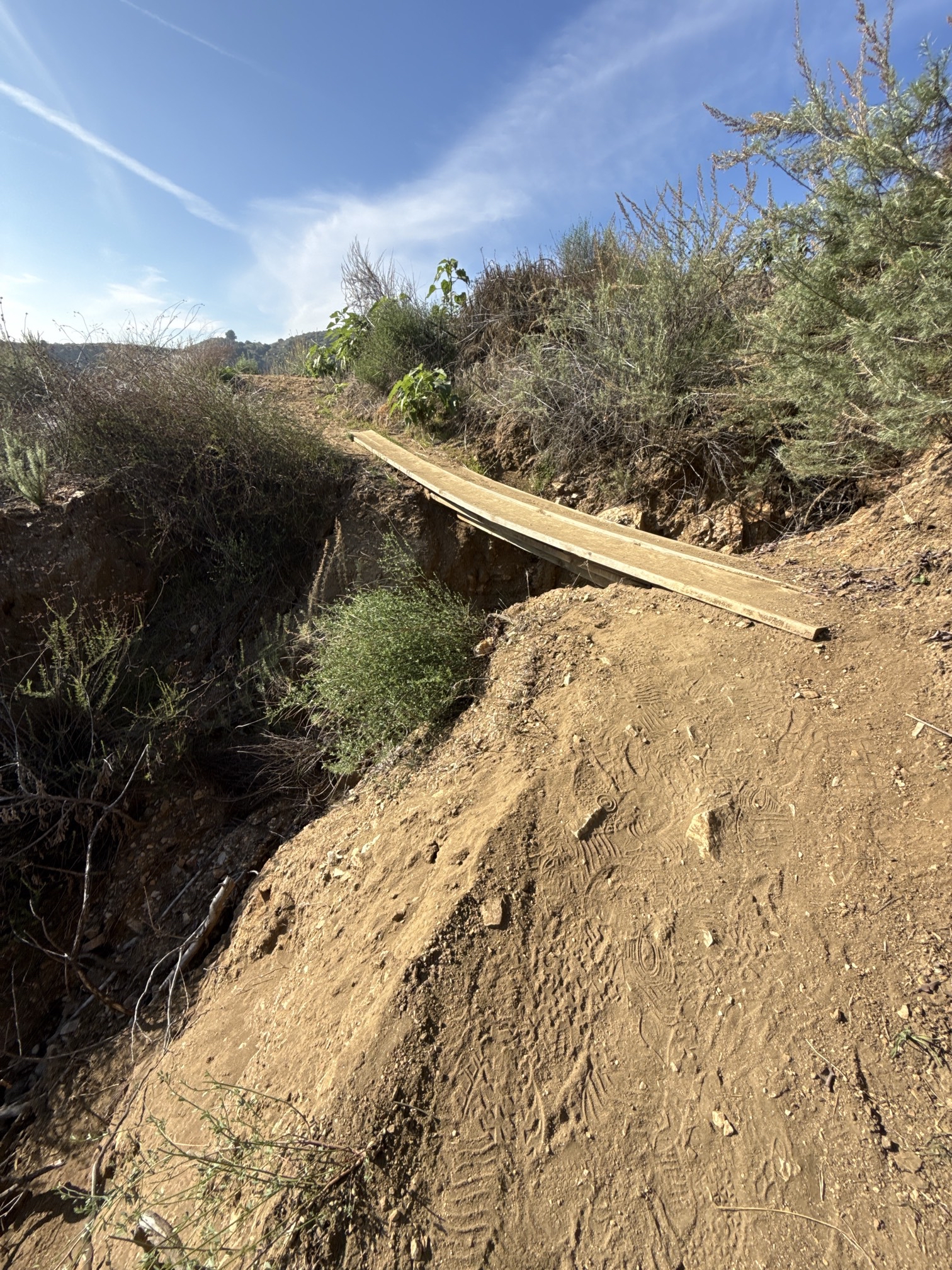 Poop Out Trail