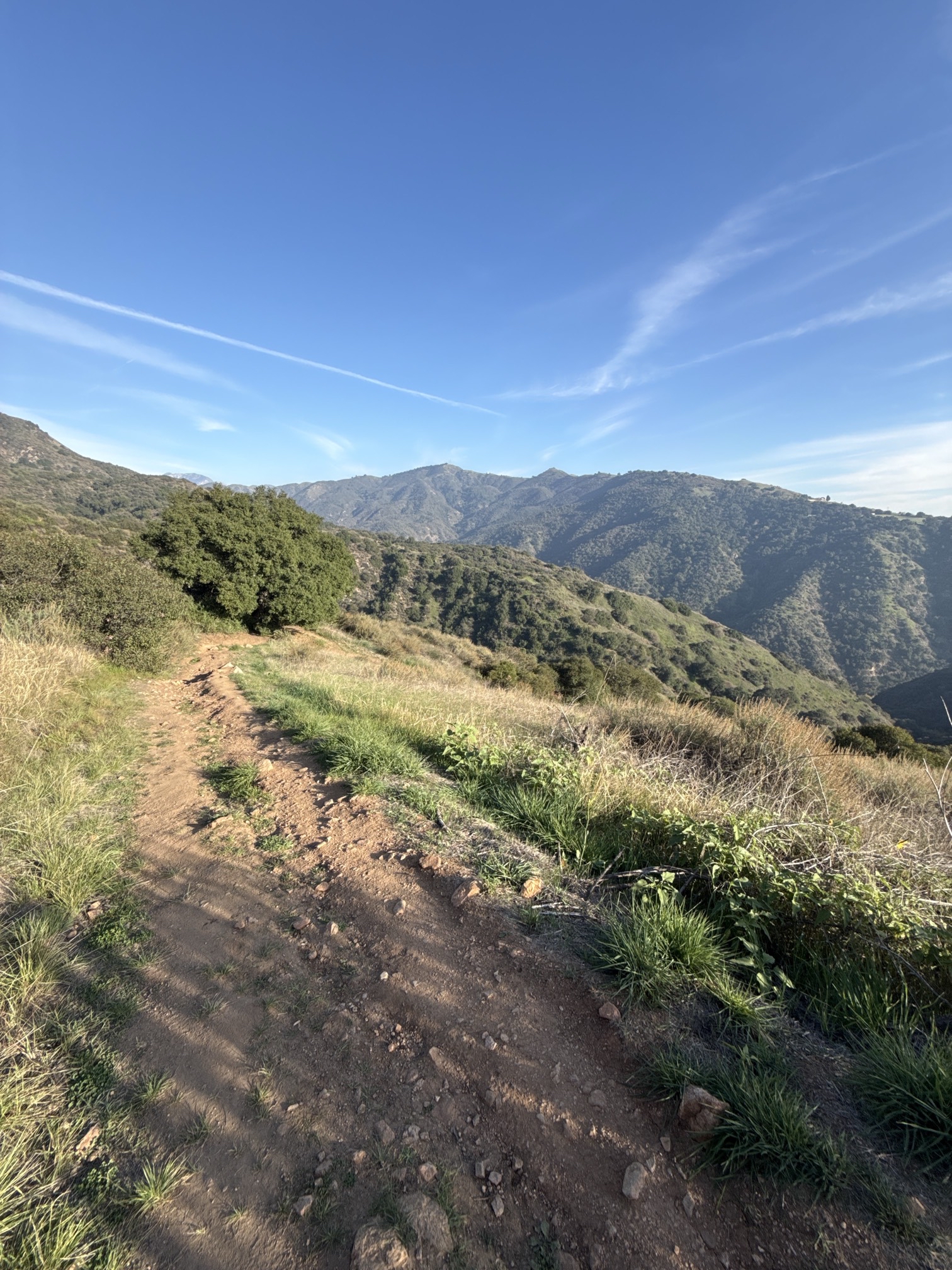 Poop Out Trail