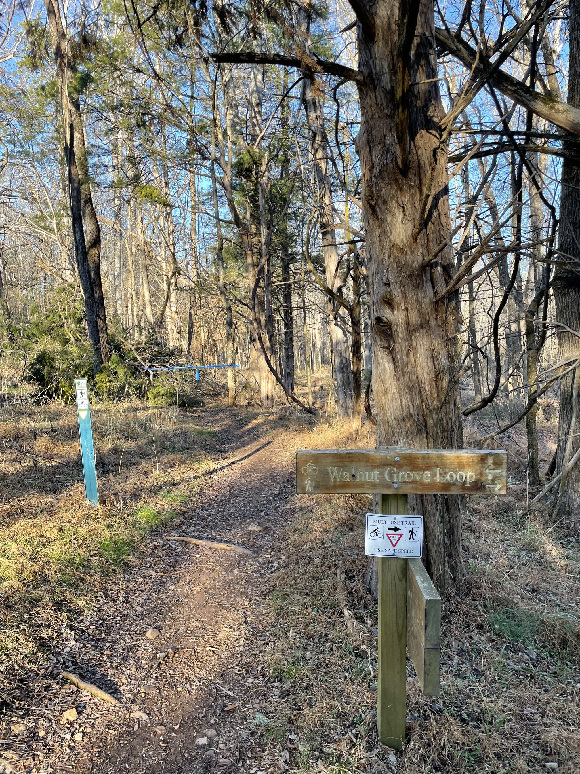 Wood Duck Way