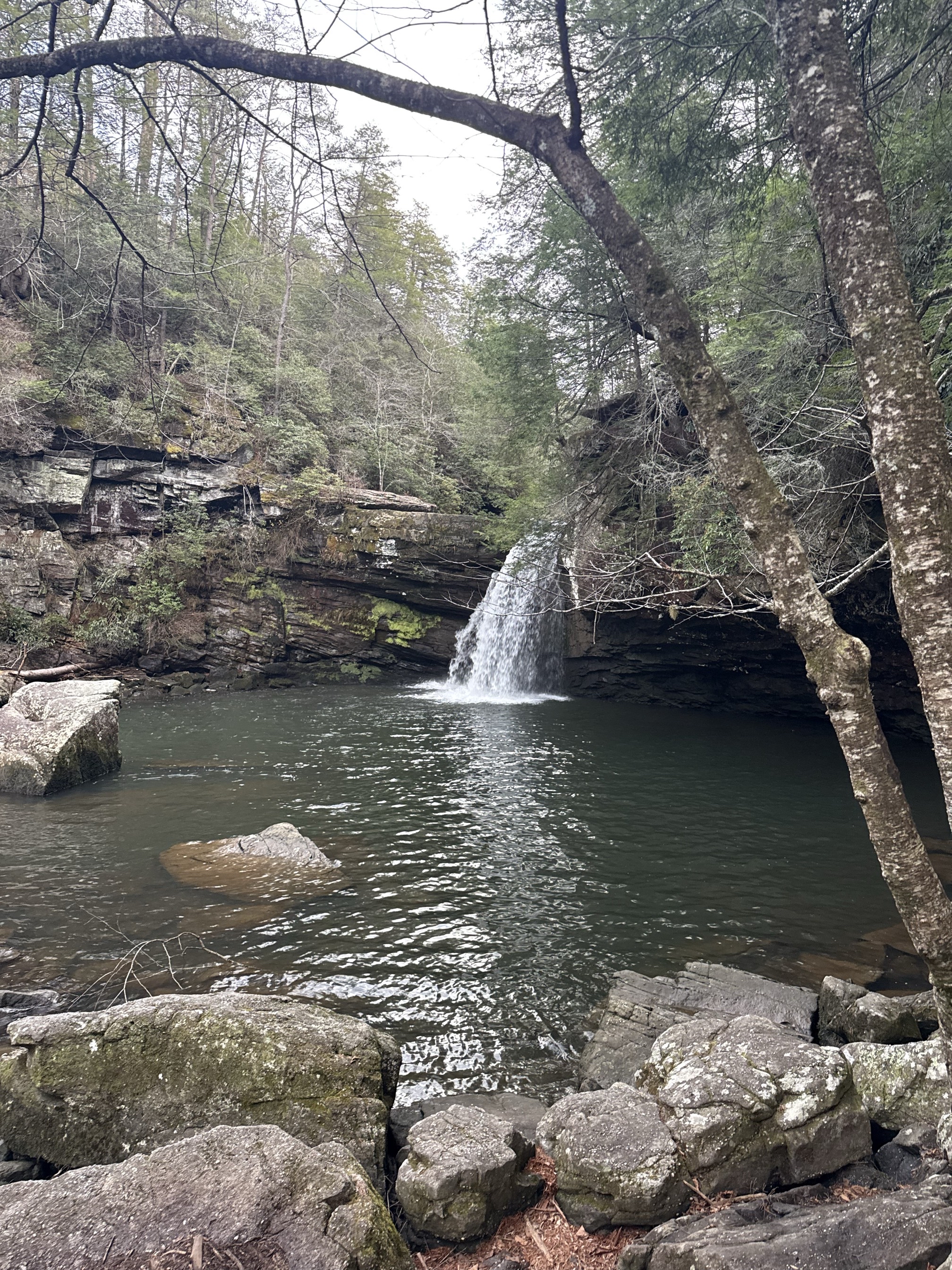 Savage Falls Trail