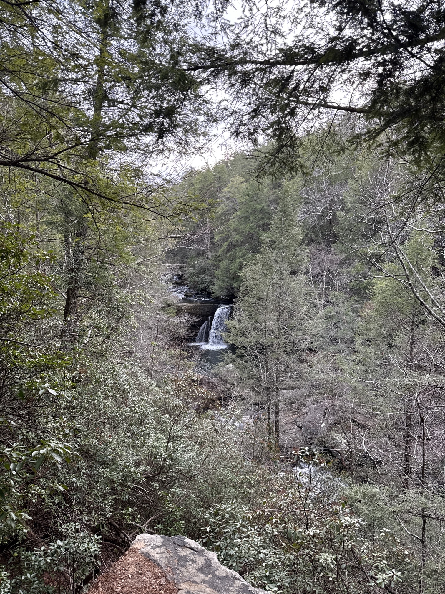 Savage Falls Trail
