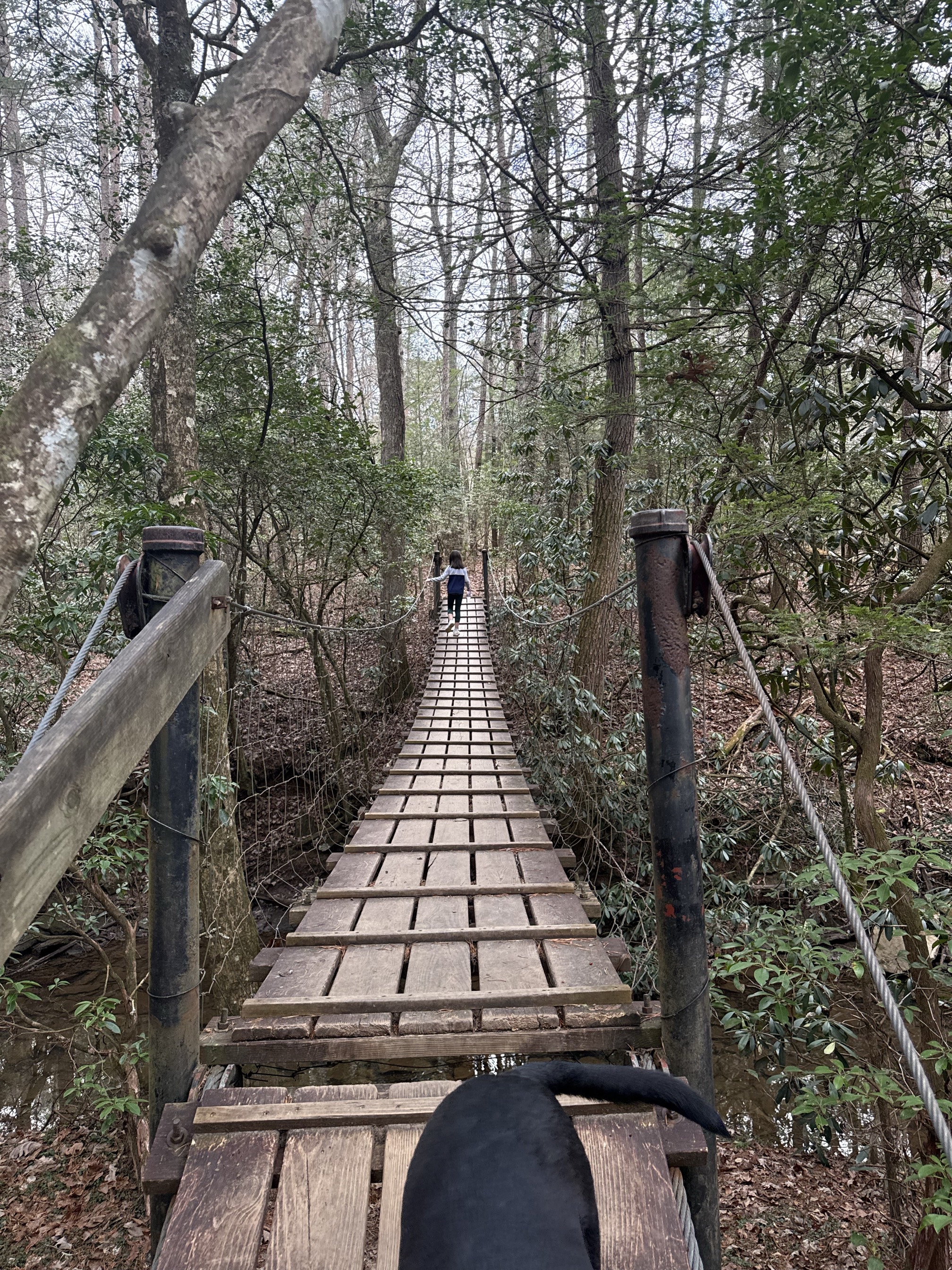 Savage Falls Trail