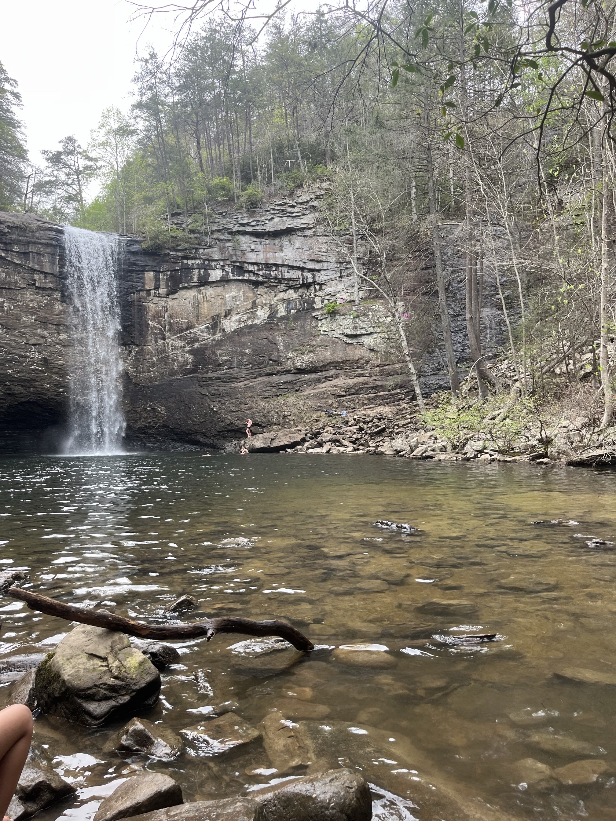 Foster Falls Loop