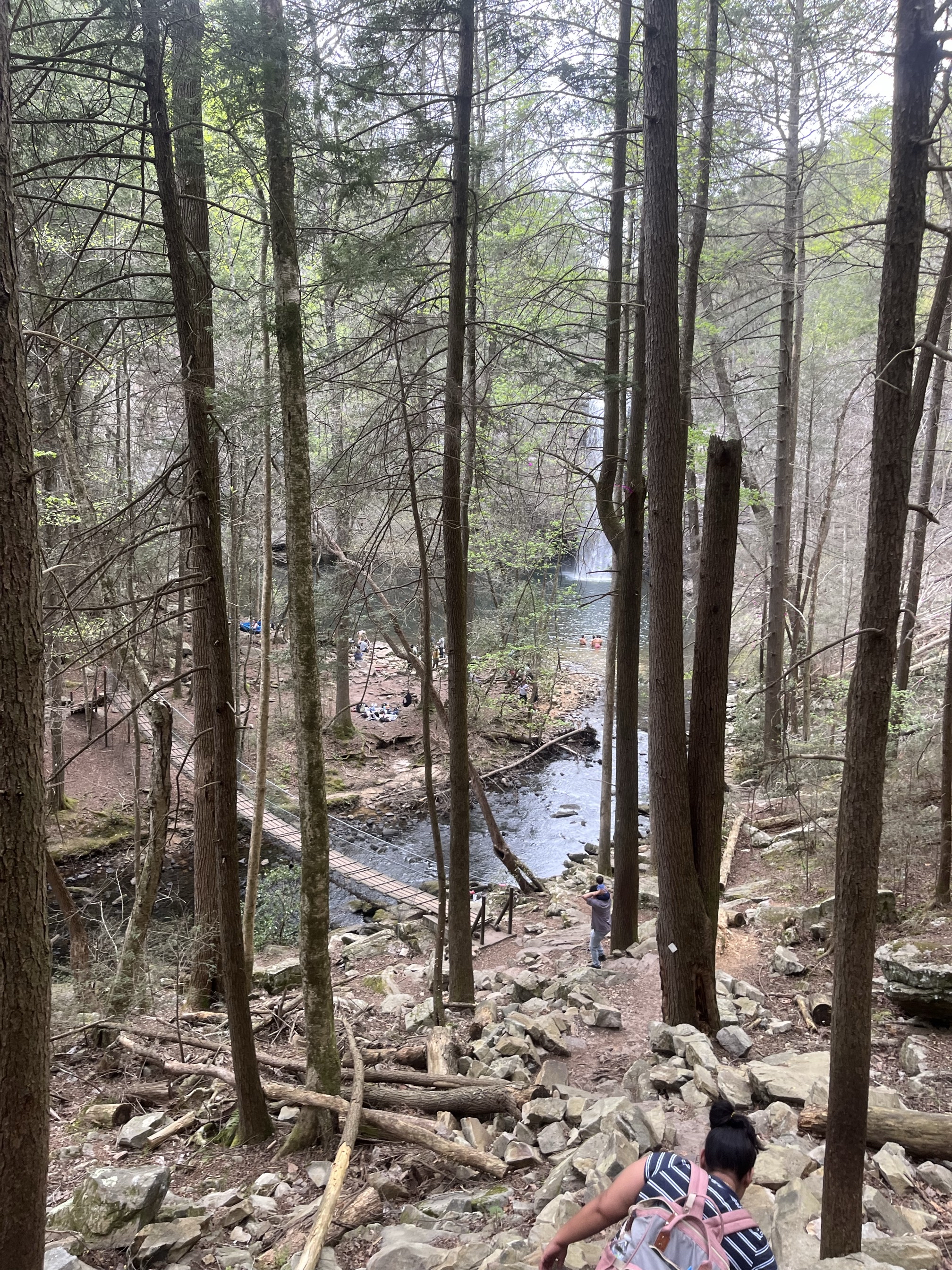 Foster Falls Loop