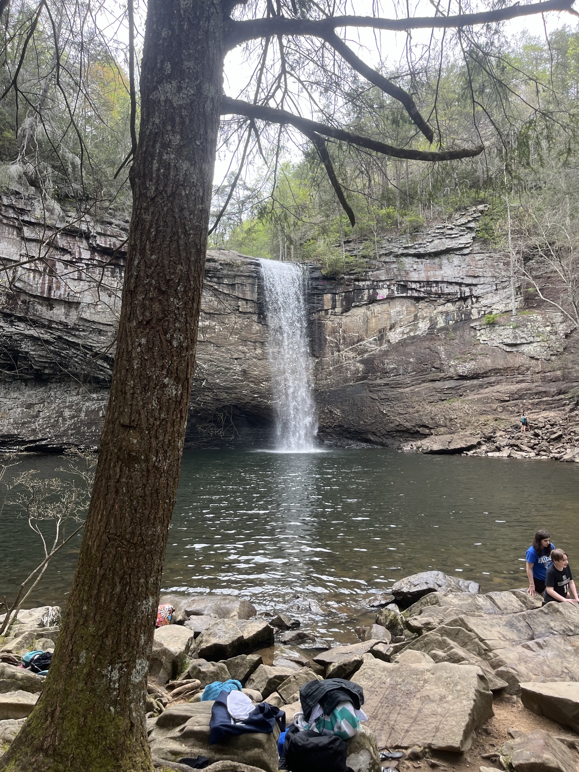 Foster Falls Loop