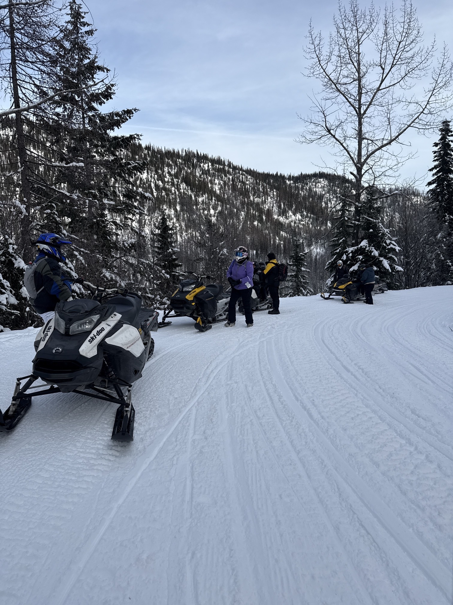 Canyon Creek Snowmobile Trail