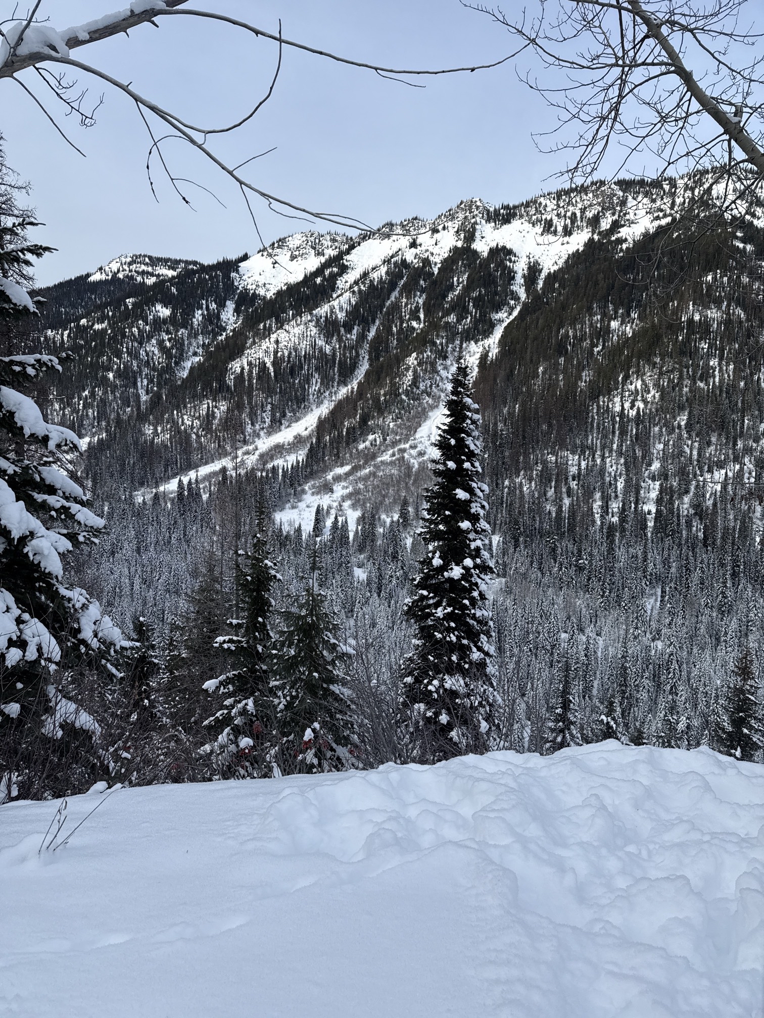 Canyon Creek Snowmobile Trail