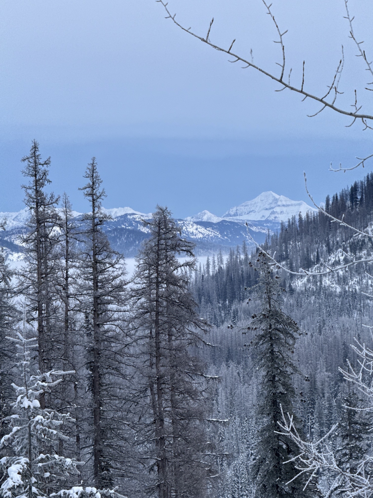 Canyon Creek Snowmobile Trail