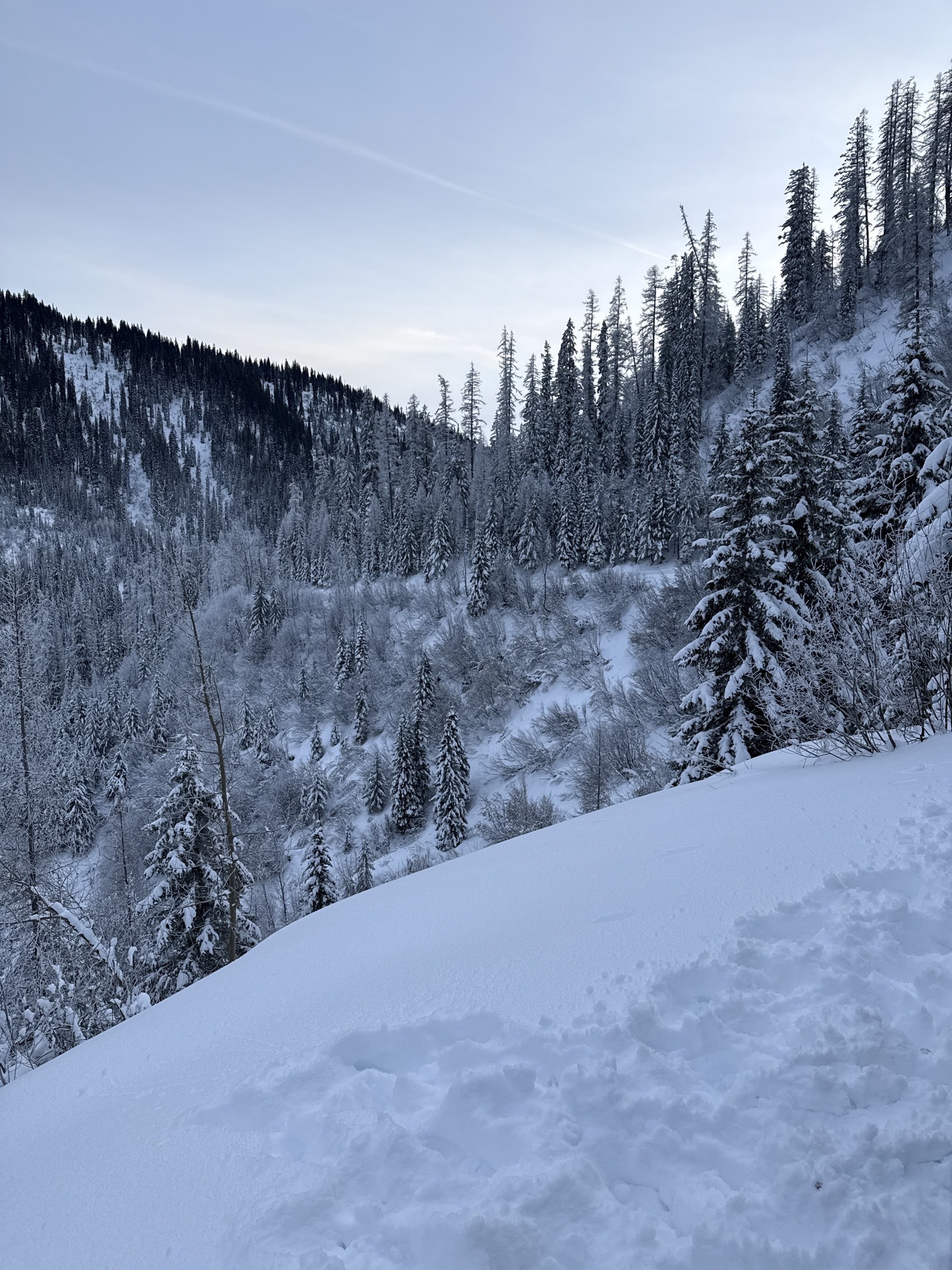 Canyon Creek Snowmobile Trail