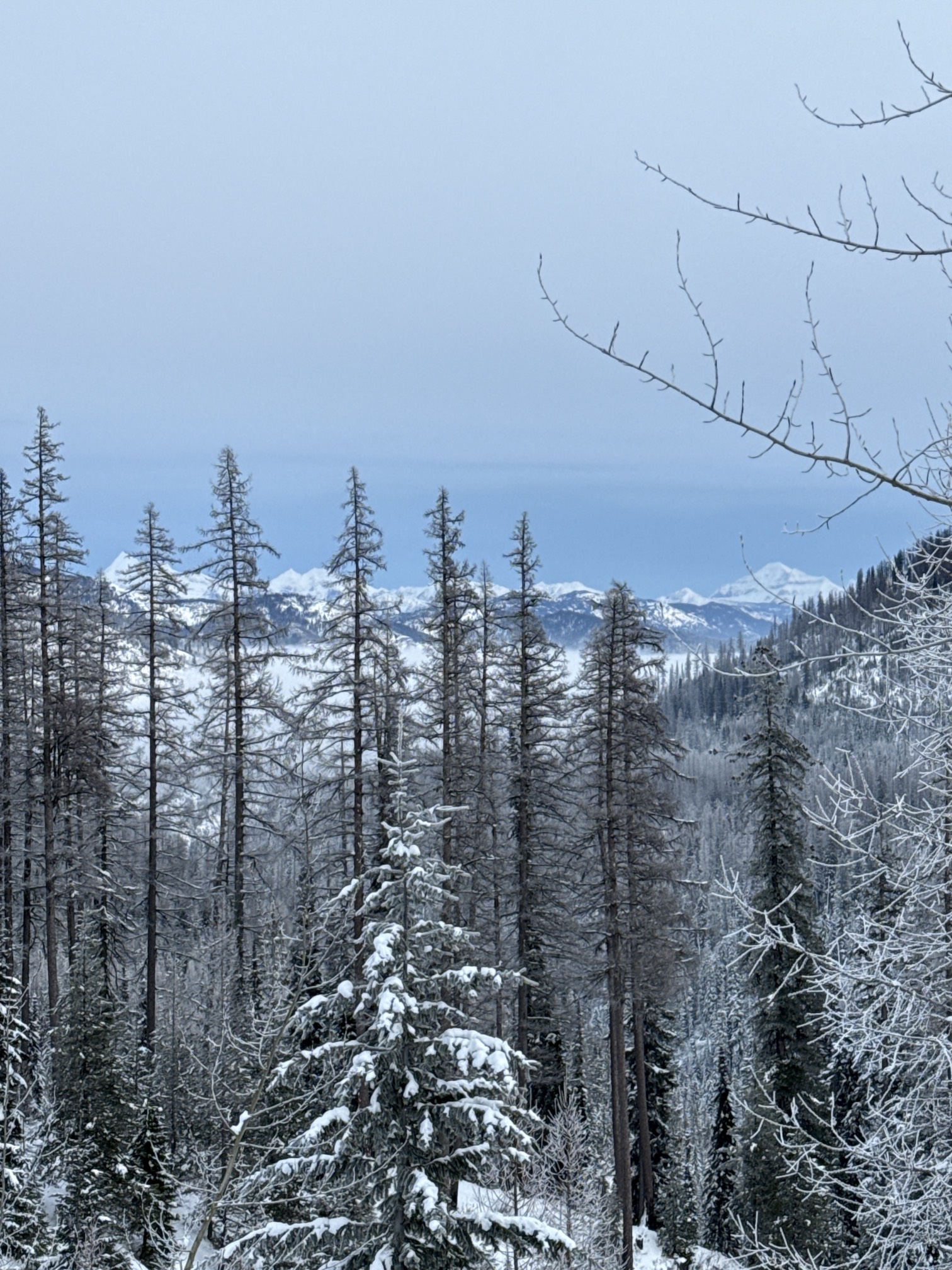 Canyon Creek Snowmobile Trail