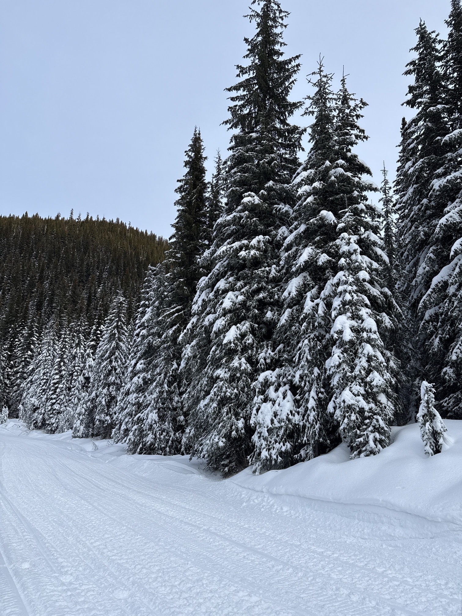 Canyon Creek Snowmobile Trail