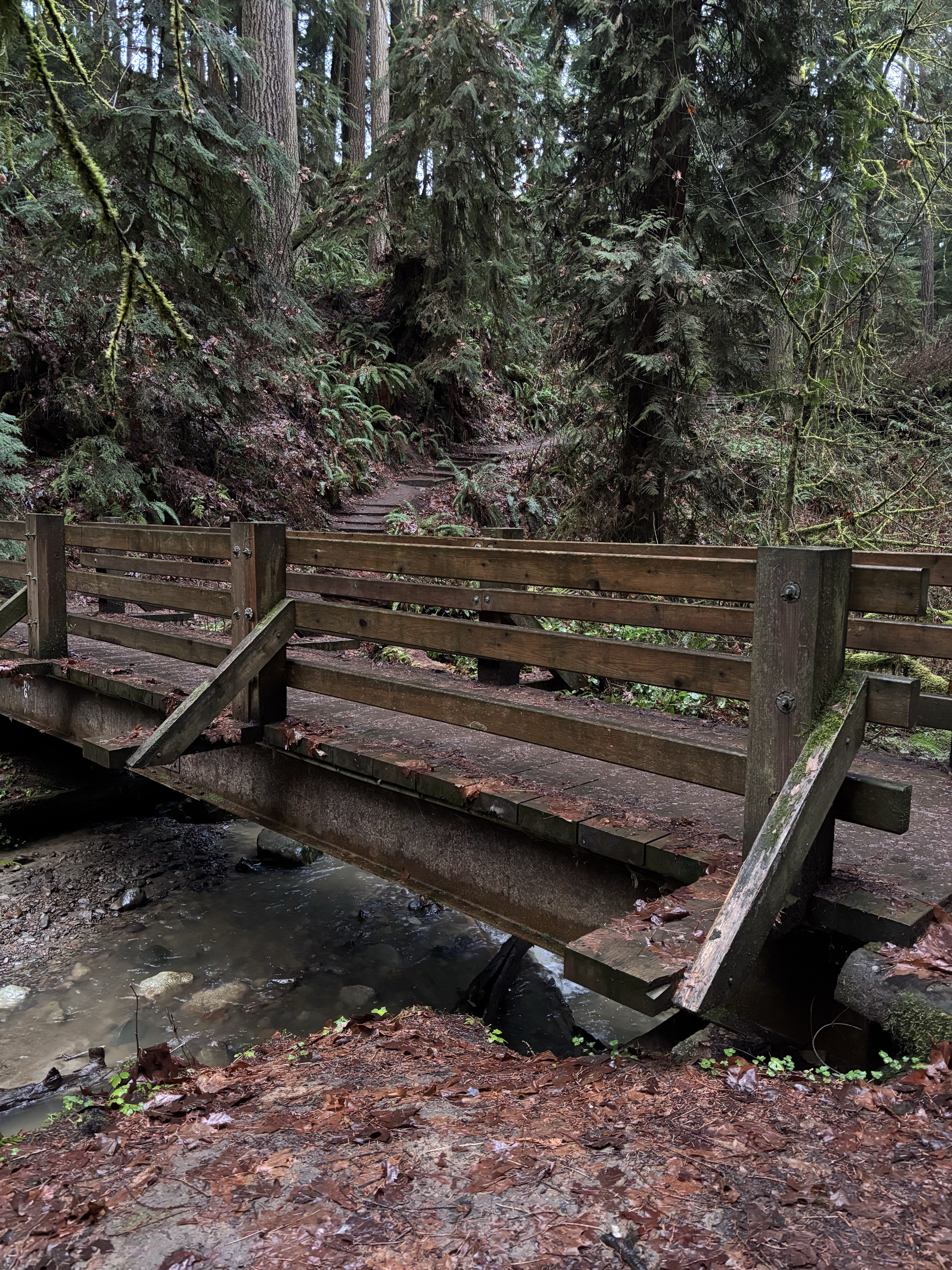 Peabody Creek Trail
