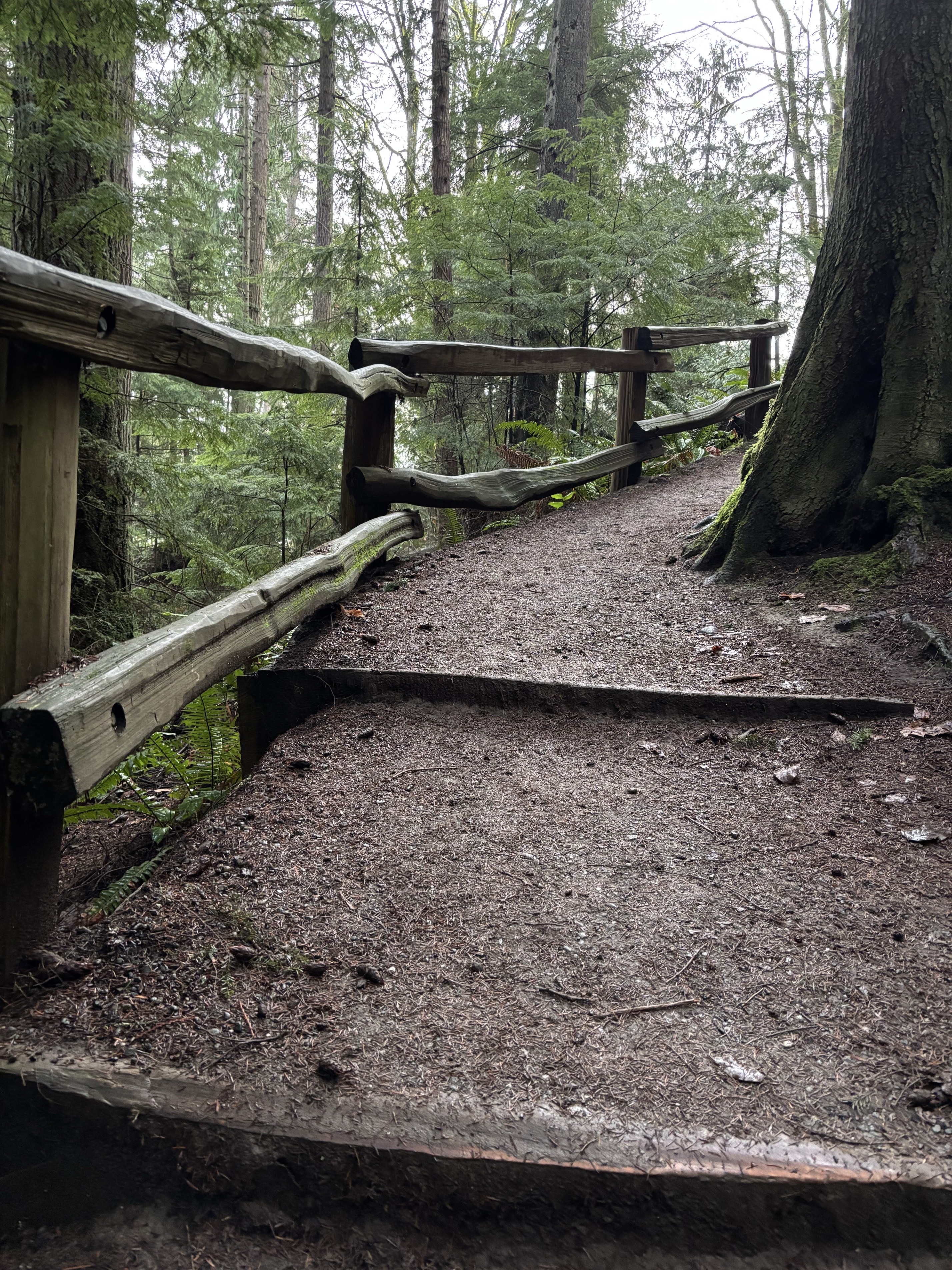 Peabody Creek Trail