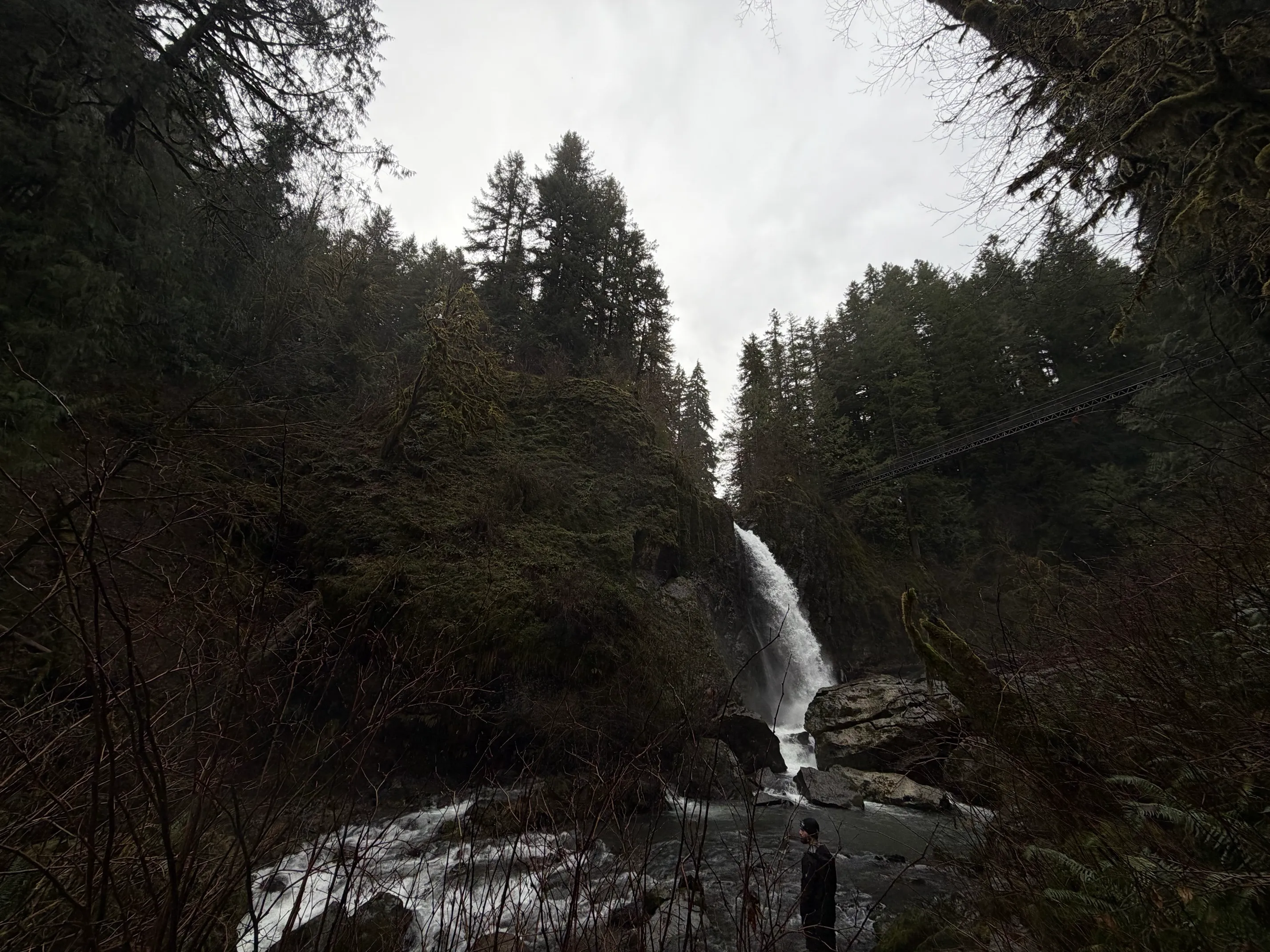 Drift Creek Falls