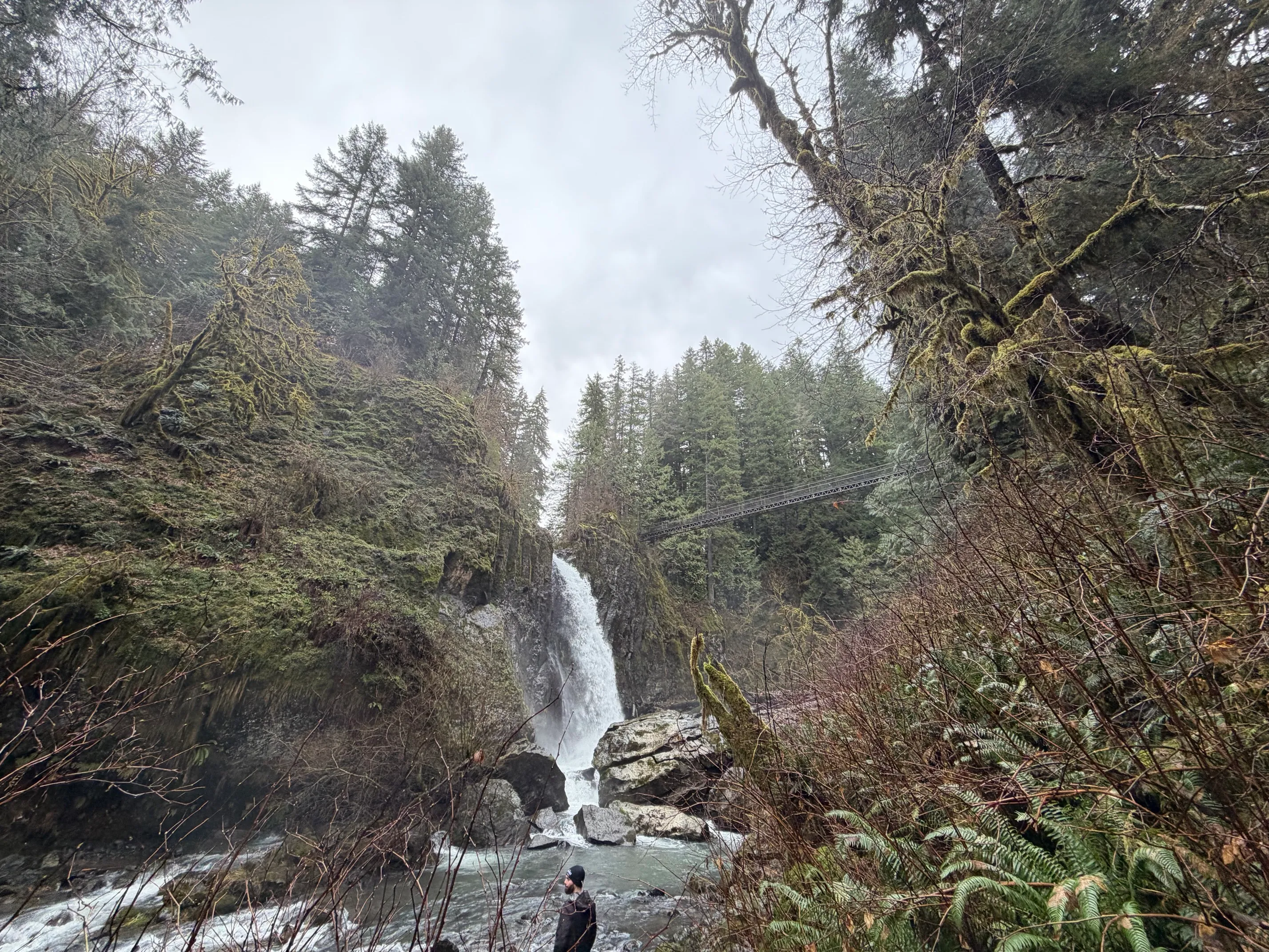 Drift Creek Falls