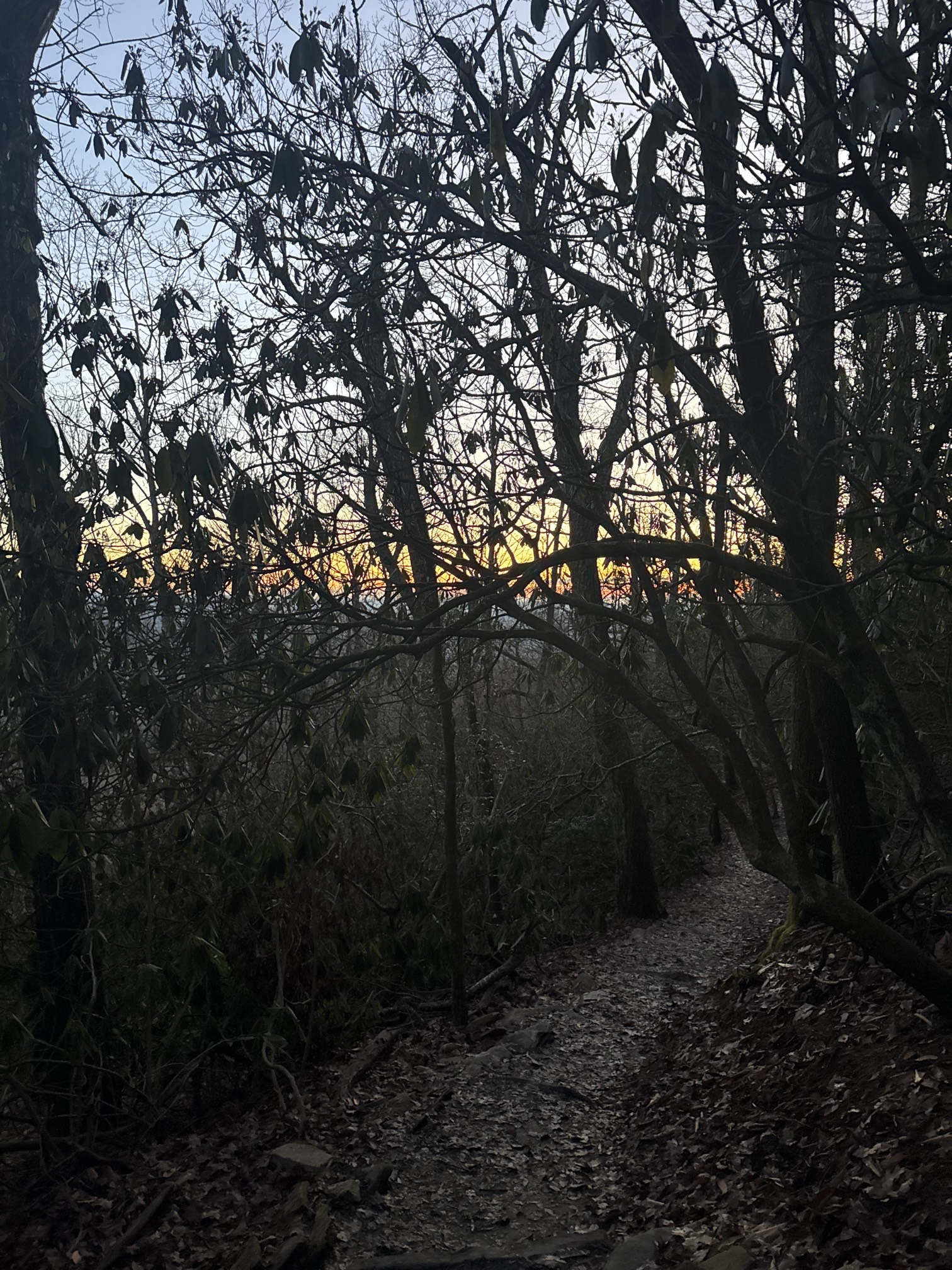 Hawksbill Mountain Trail