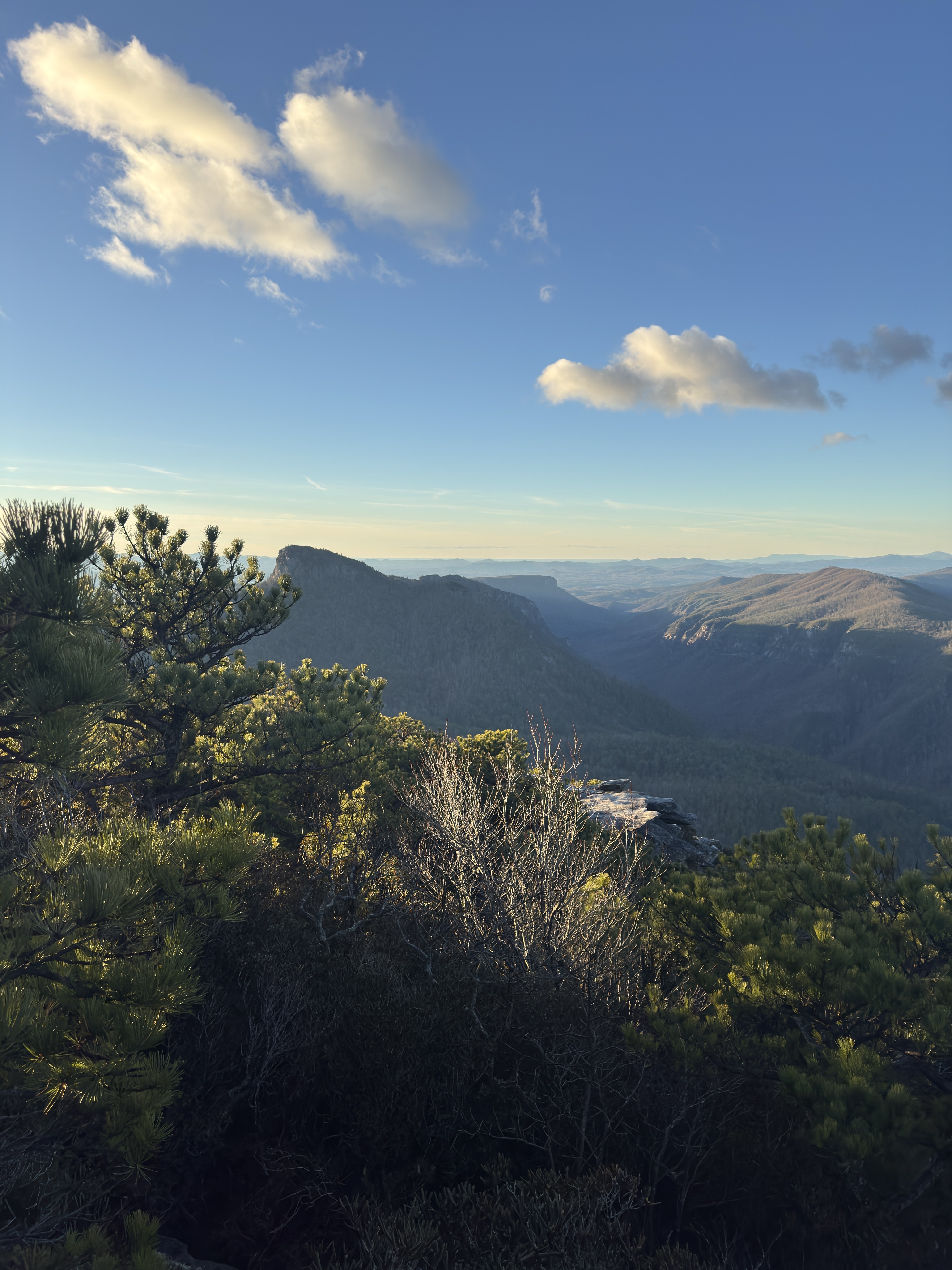 Hawksbill Mountain Trail