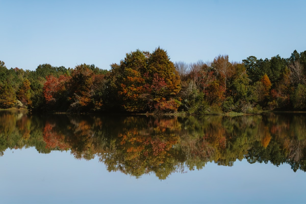 Blackwater Conservation Area