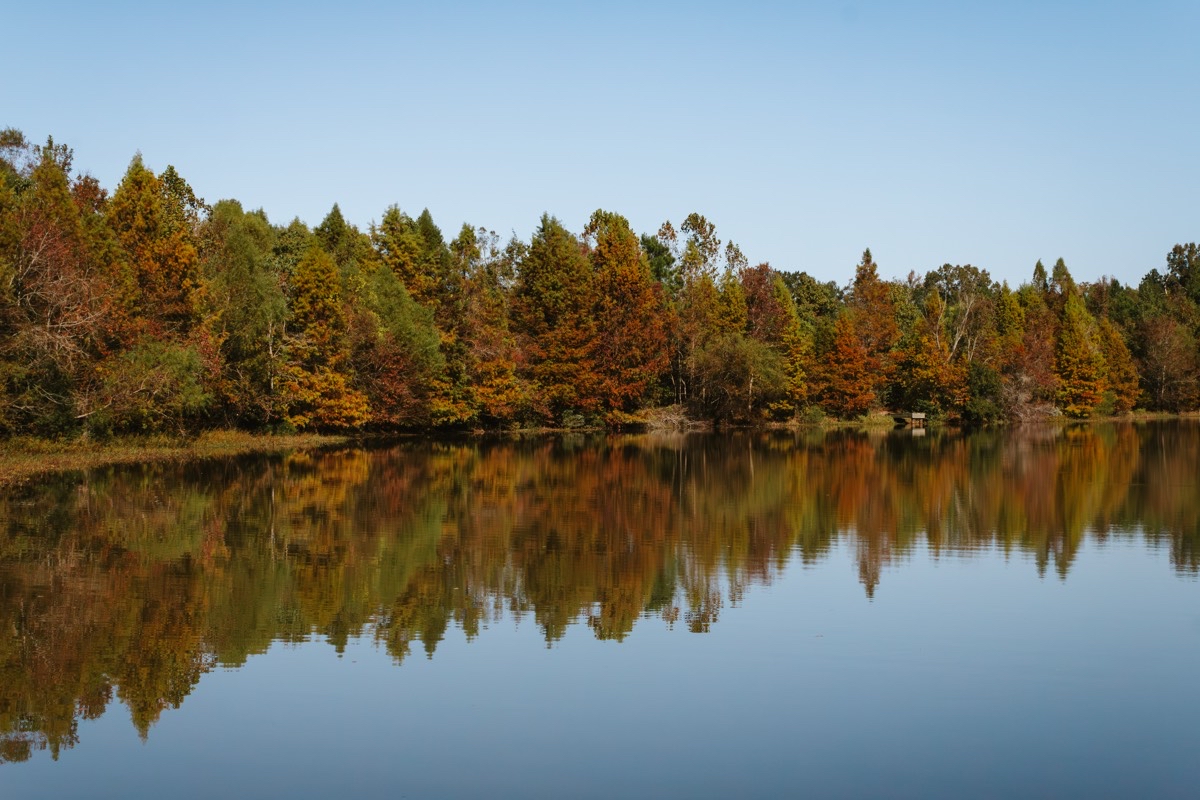 Blackwater Conservation Area