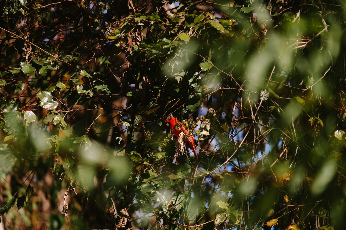 Blackwater Conservation Area