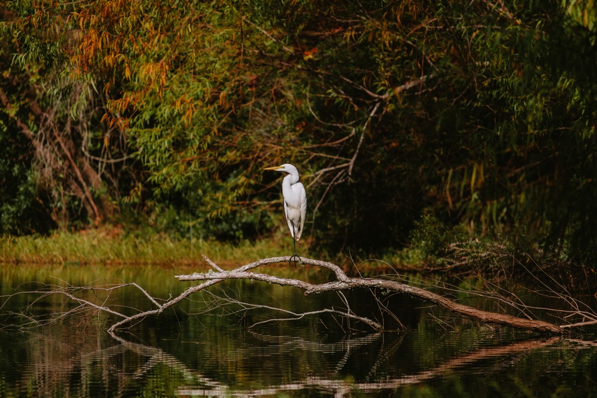 Blackwater Conservation Area