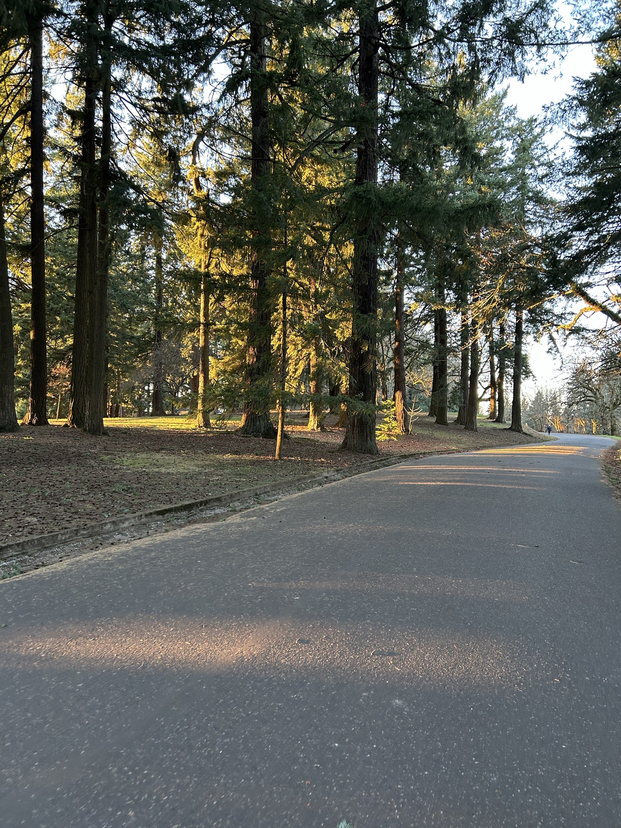 Mount Tabor Park