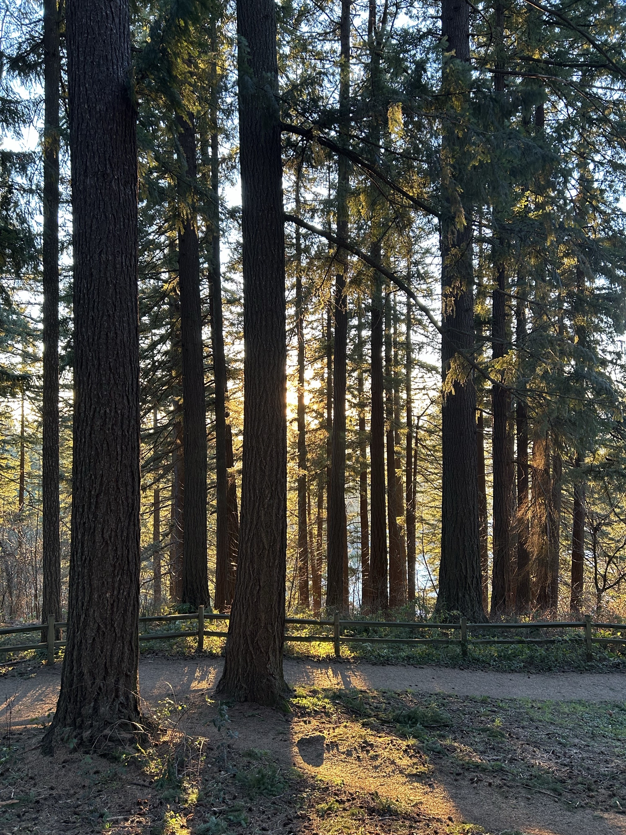 Mount Tabor Park