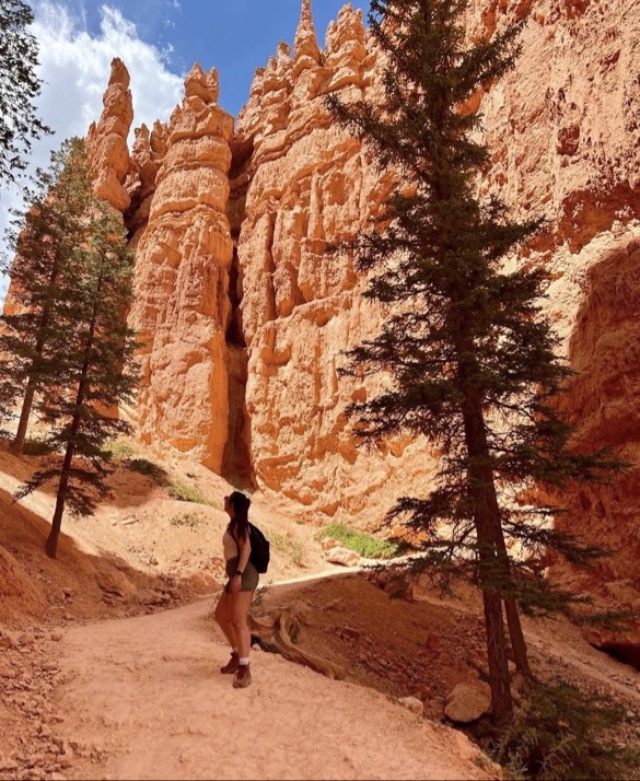 Wall Street Loop in Bryce Canyon